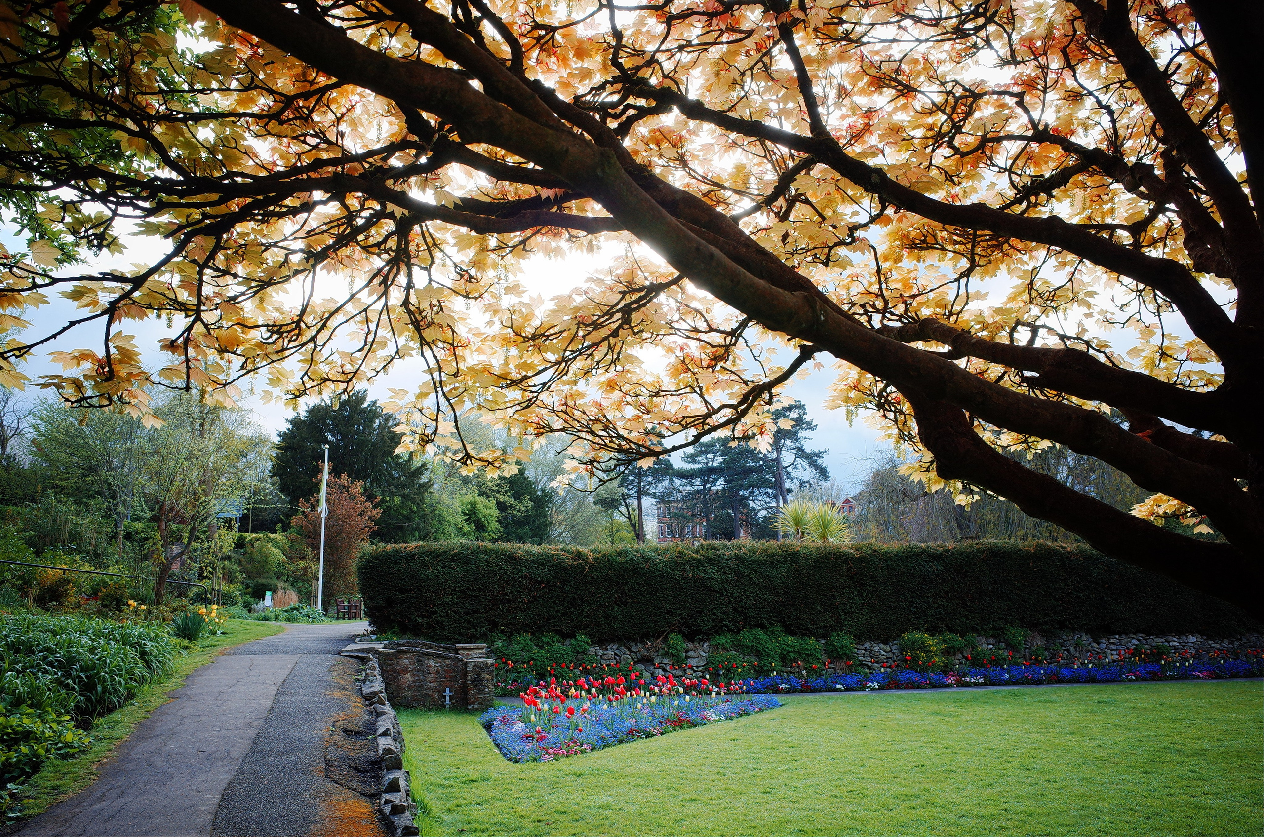 Kingsnorth in Gold. Victoria Dini. Art photography in London / Folkestone, UK