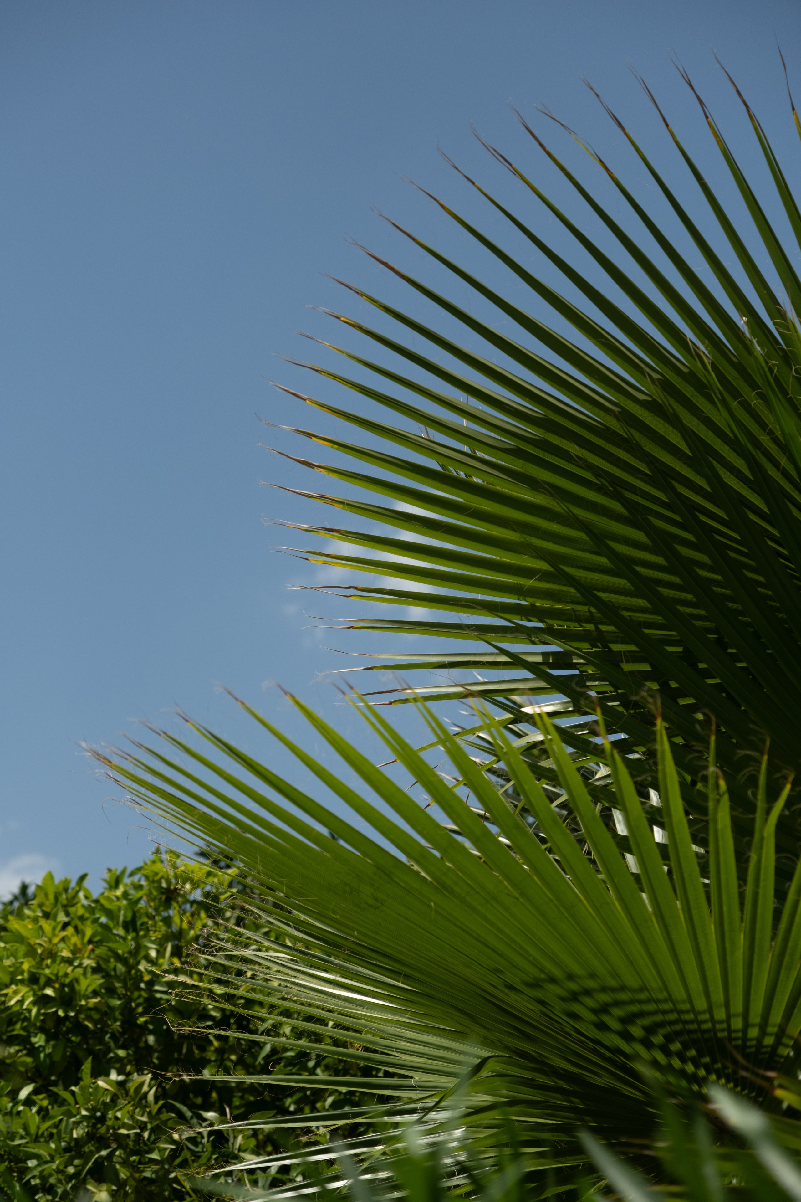 Sicily. Wedding photography — EMU Photos