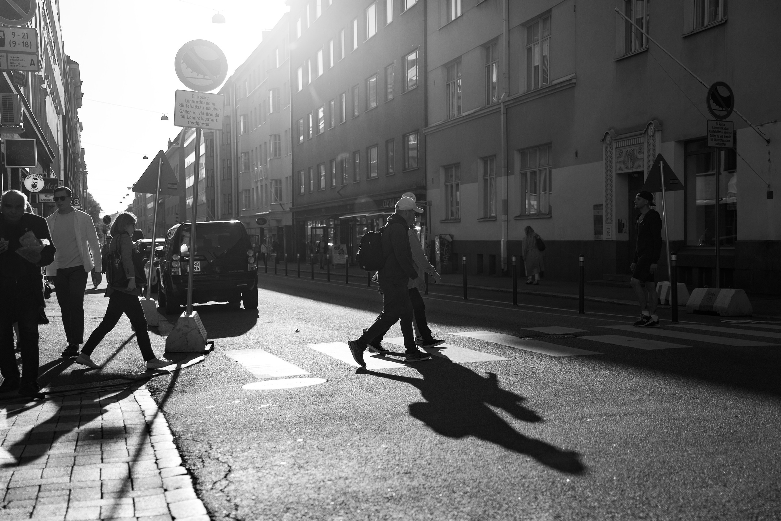 Helsinki. Kaja | fotograf psów we Wrocławiu