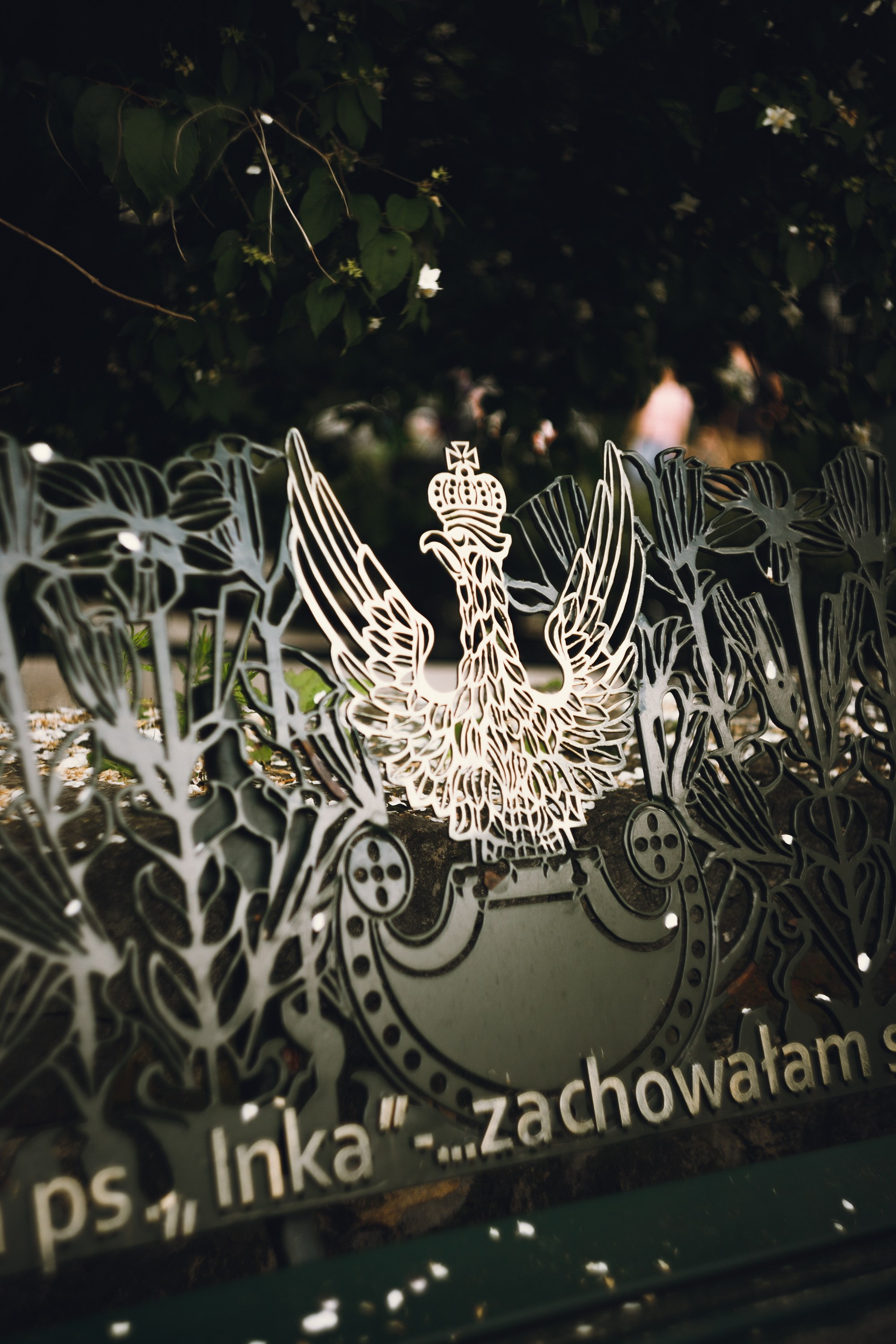 Krakow. Kaja | fotograf psów we Wrocławiu