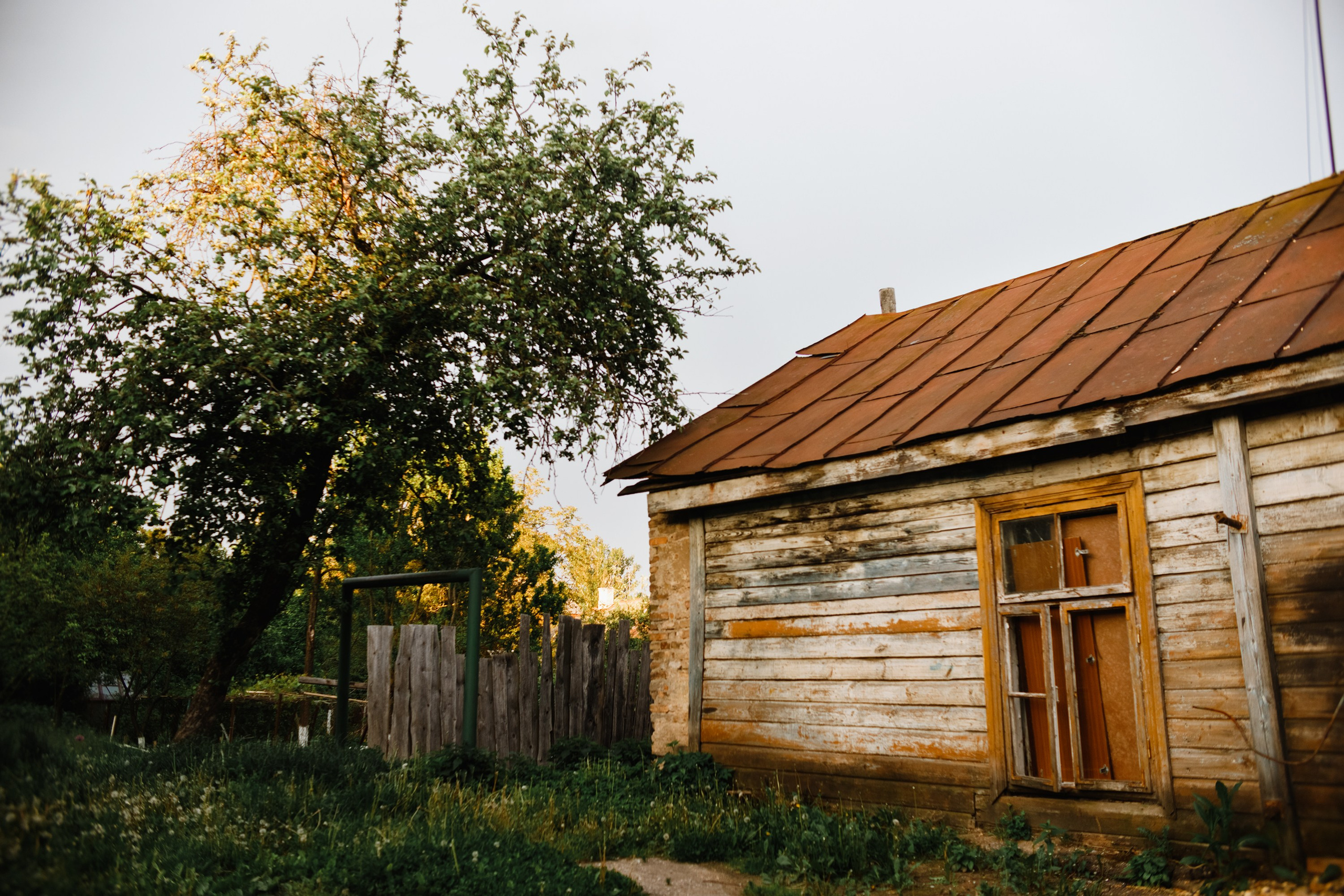 Grodno. Kaja | fotograf we Wrocławiu | ludzie i psy