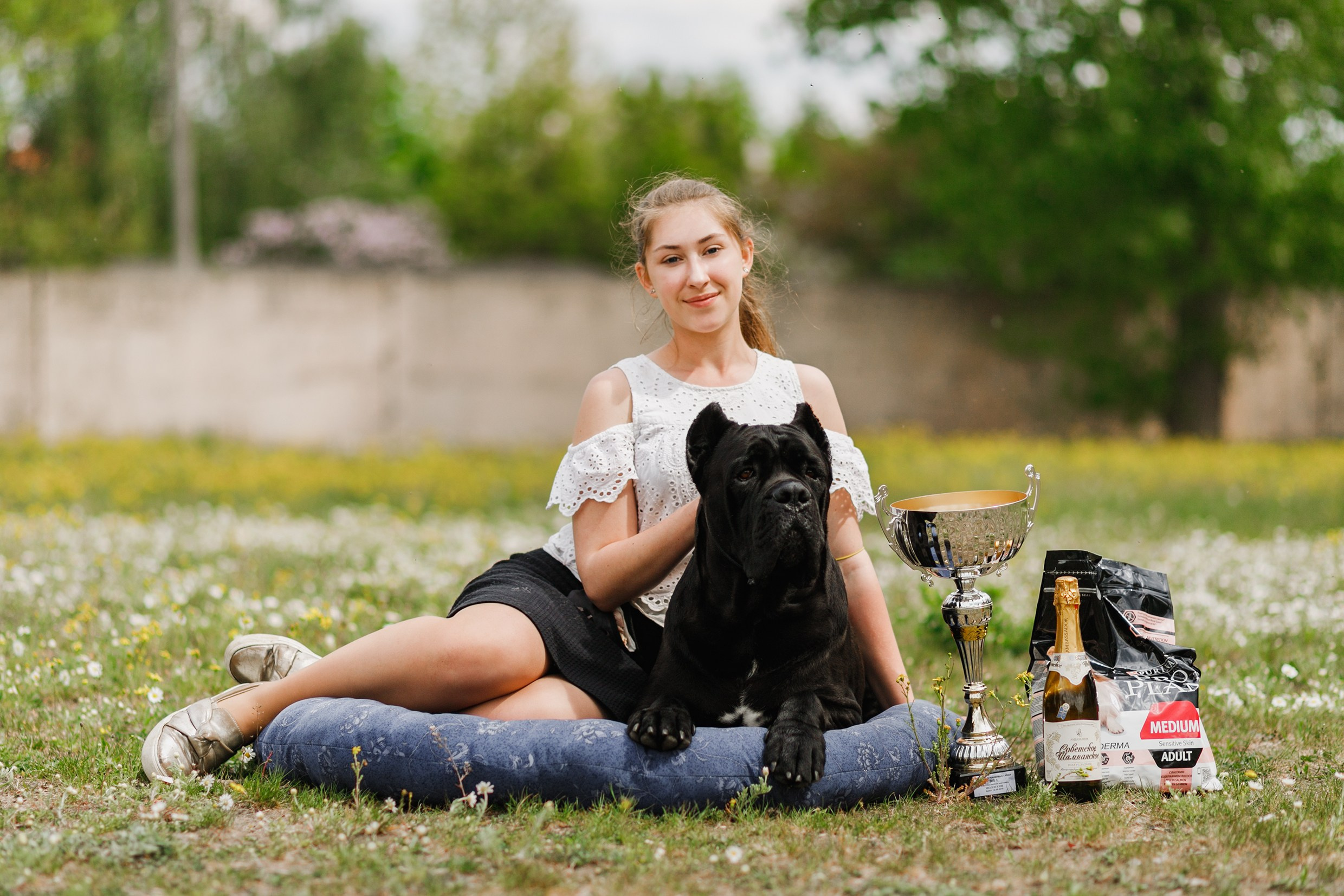 Dog shows | the best ones. Kaja | fotograf psów we Wrocławiu