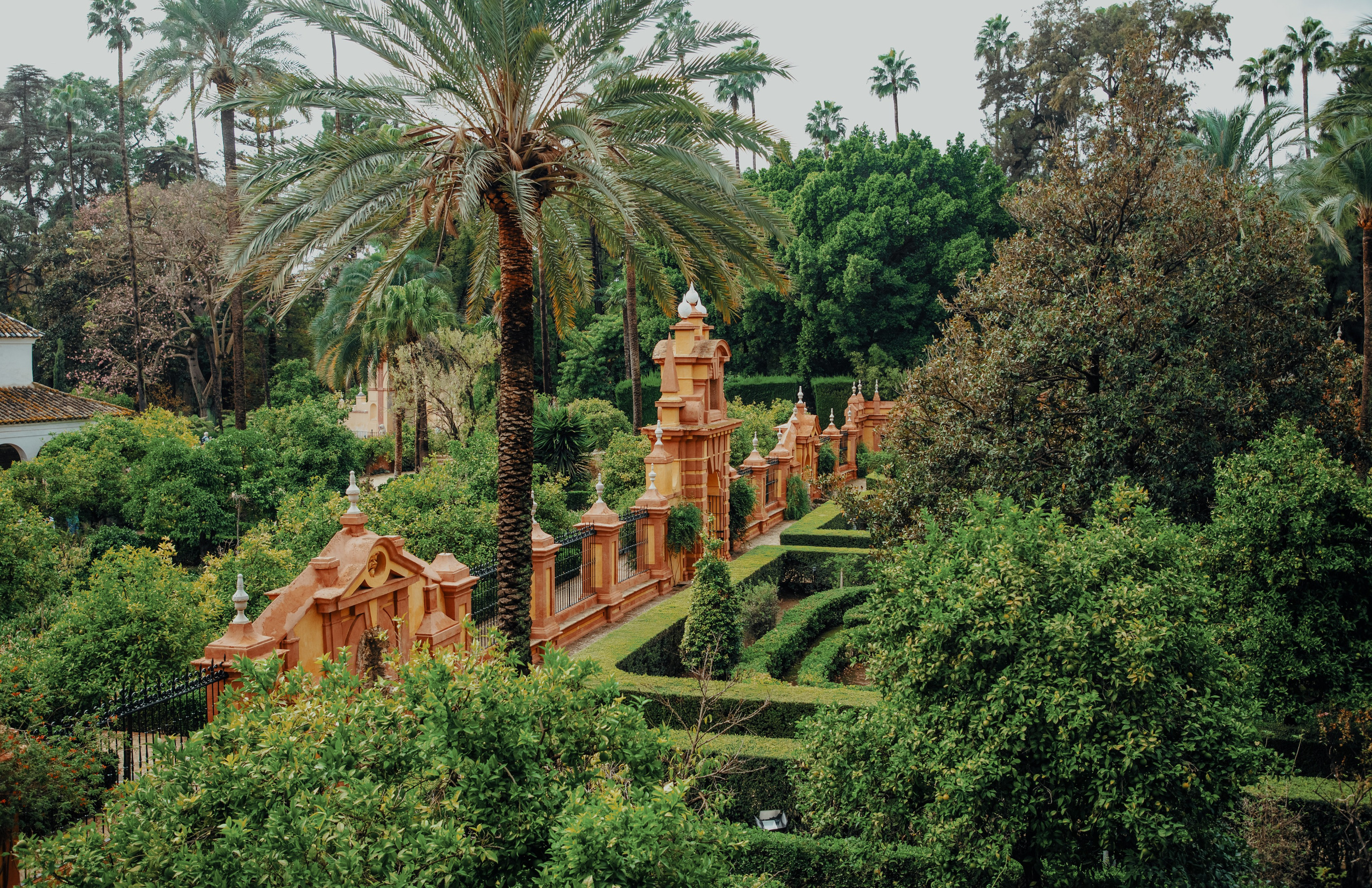 Travel & Street. Mario Jelikic Photography