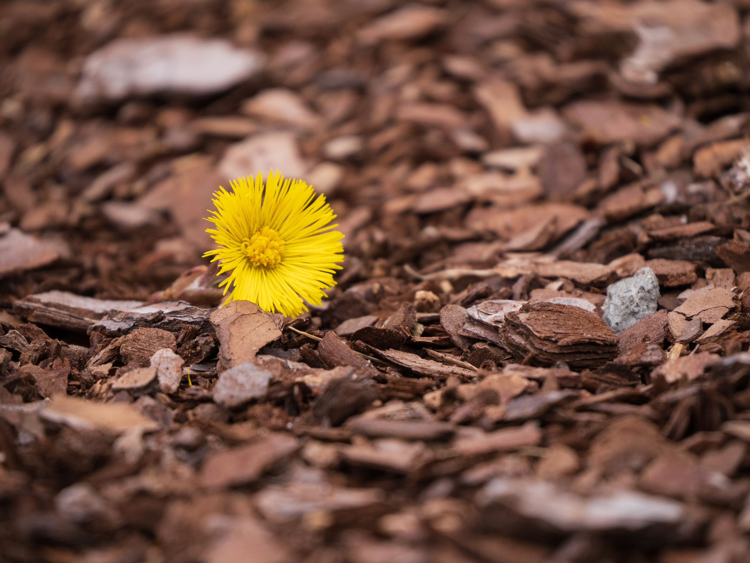 Portfolio. Photographer in Sotenäs municipality. Fotograf i Sotenäs kommun