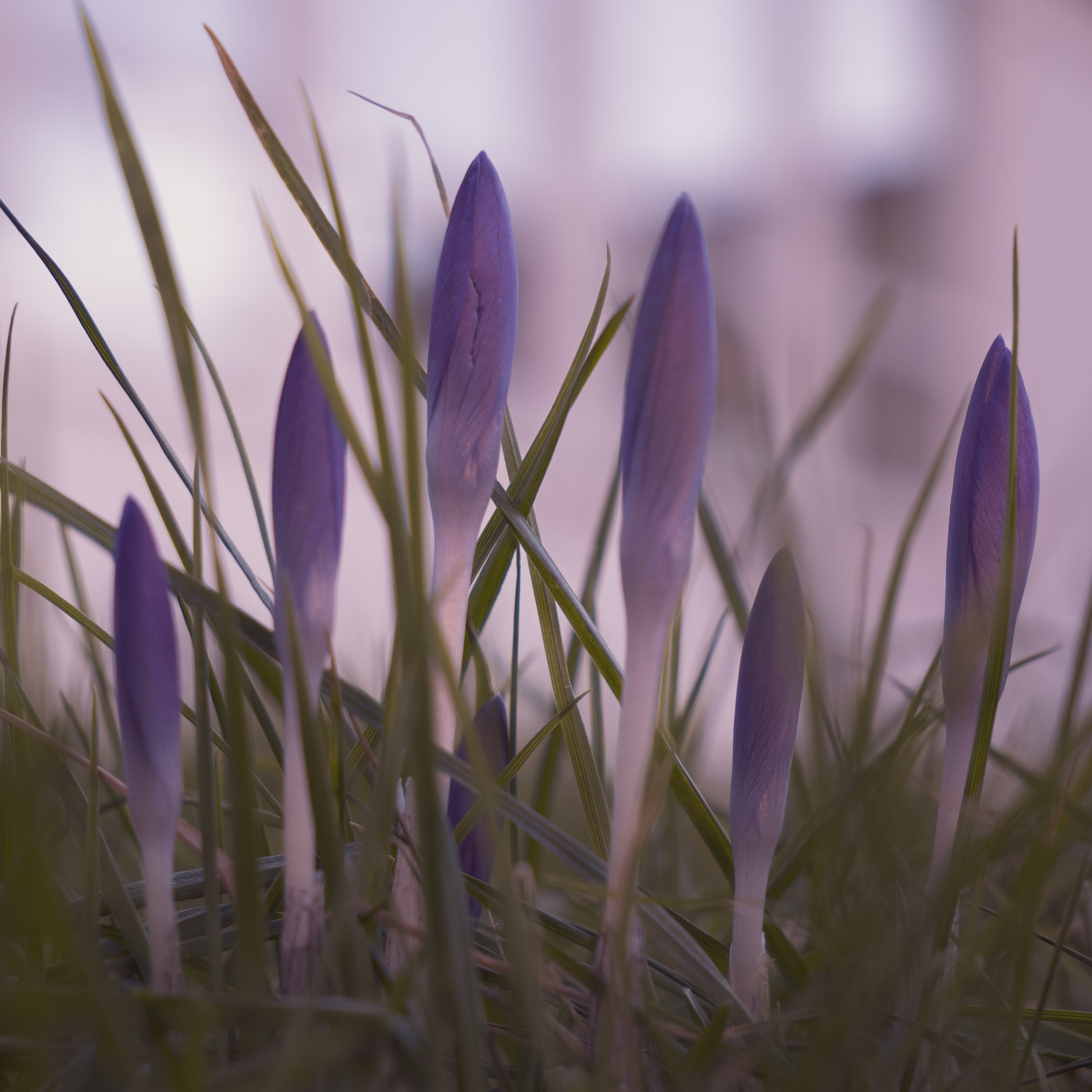 Portfolio. Photographer in Sotenäs municipality. Fotograf i Sotenäs kommun