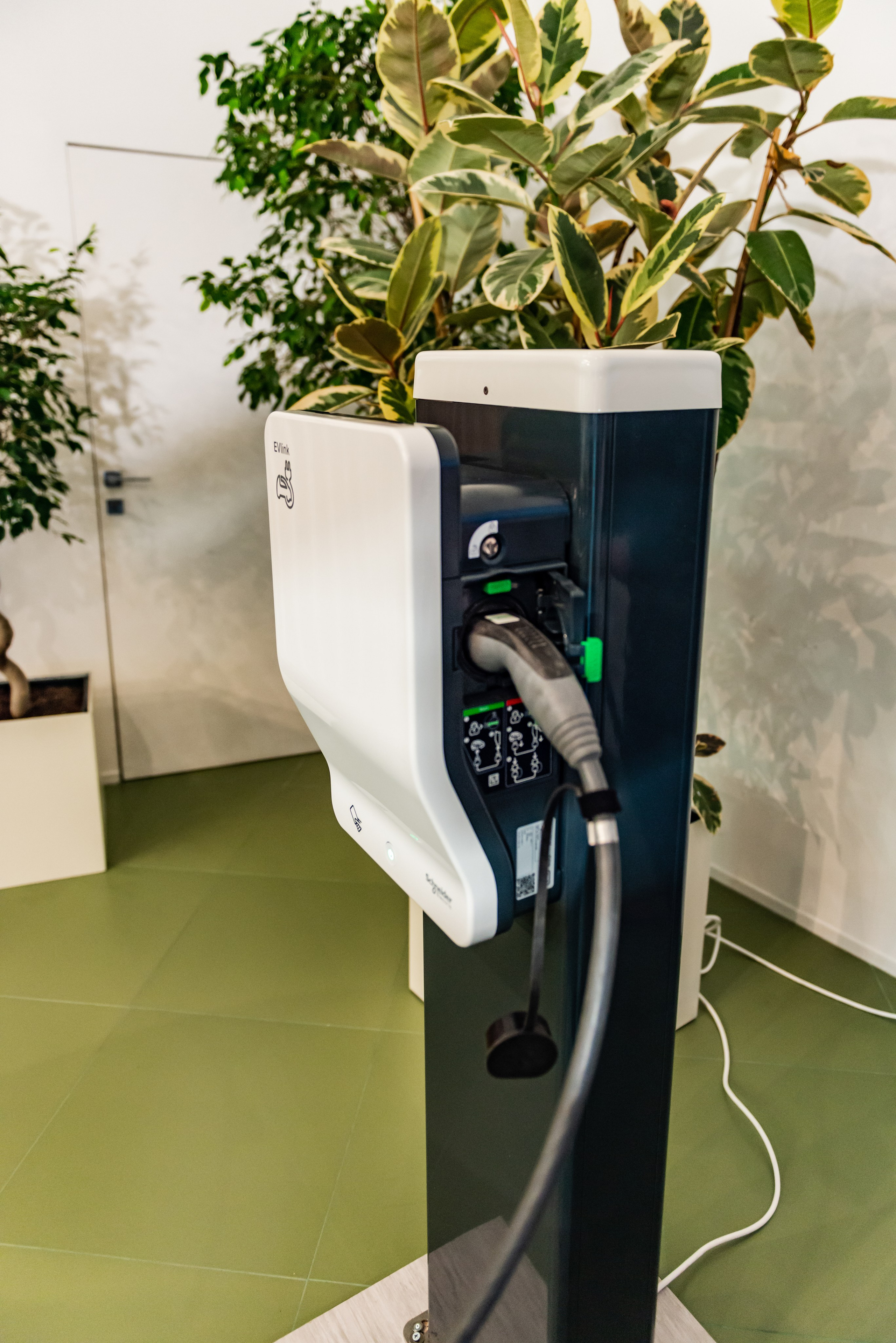 Reportage shooting. PHOTOGRAPHER QUINTANA ROO