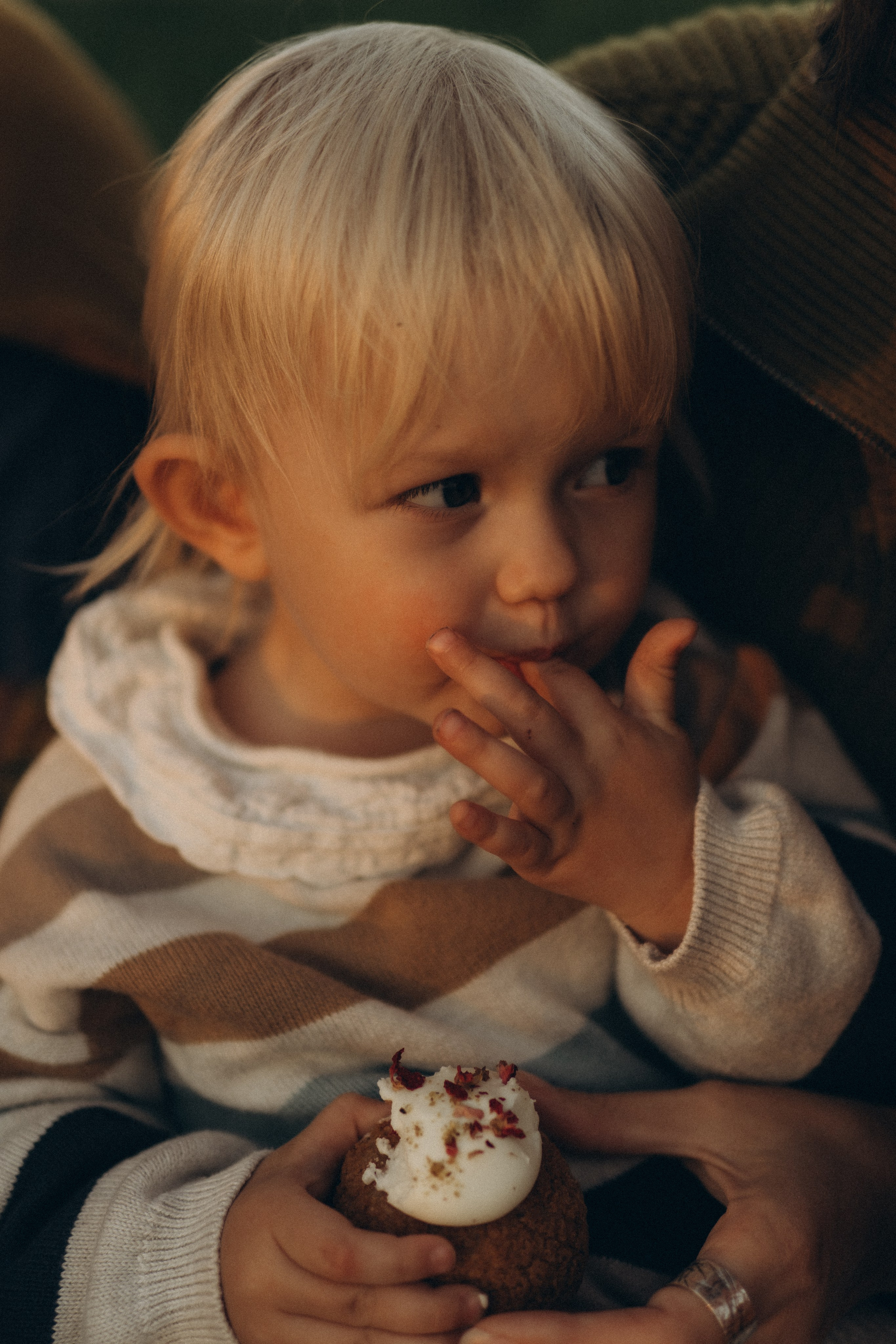 Autumn Story. Lens Captures Life