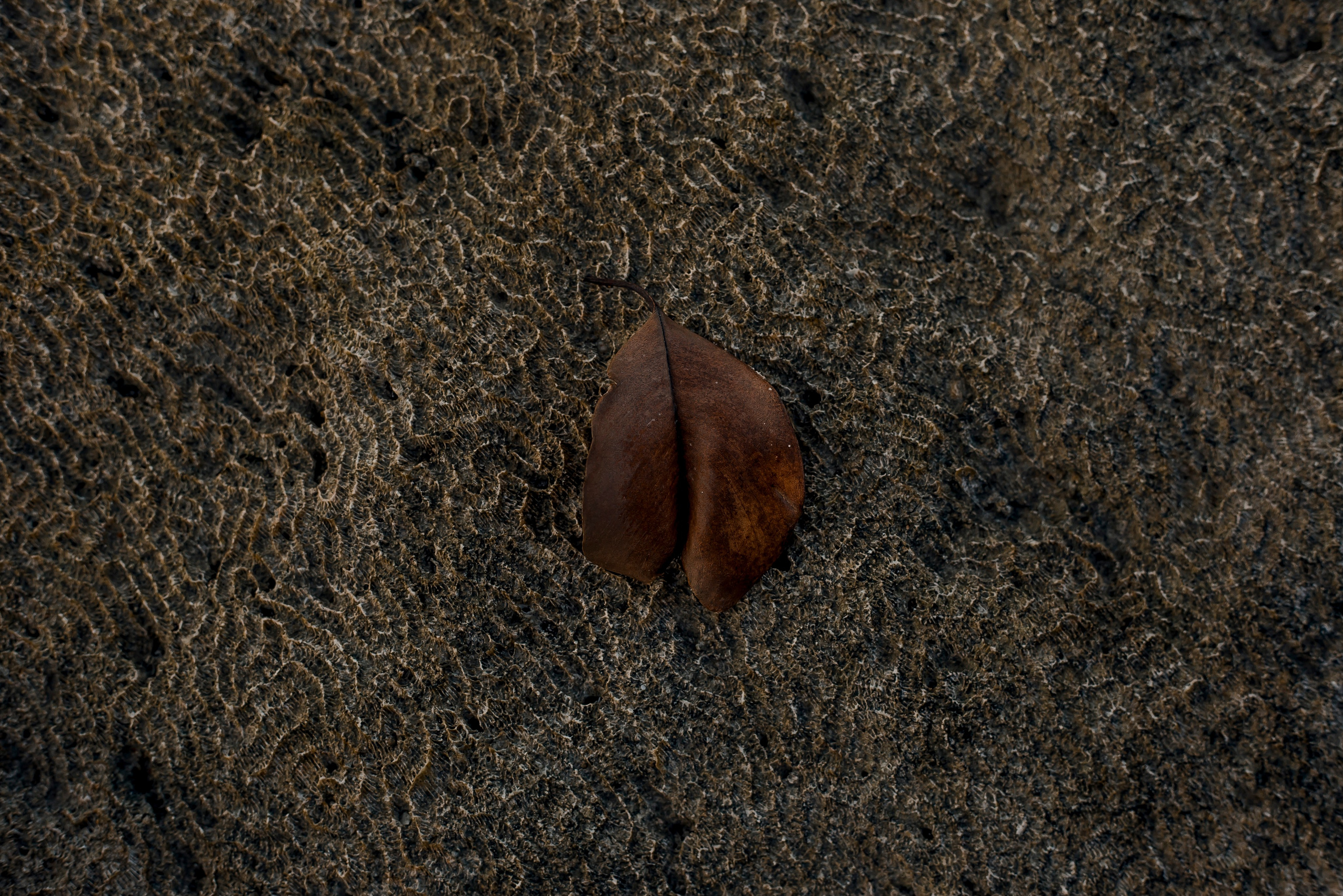 Andaman Islands, Part2. Art Photographer