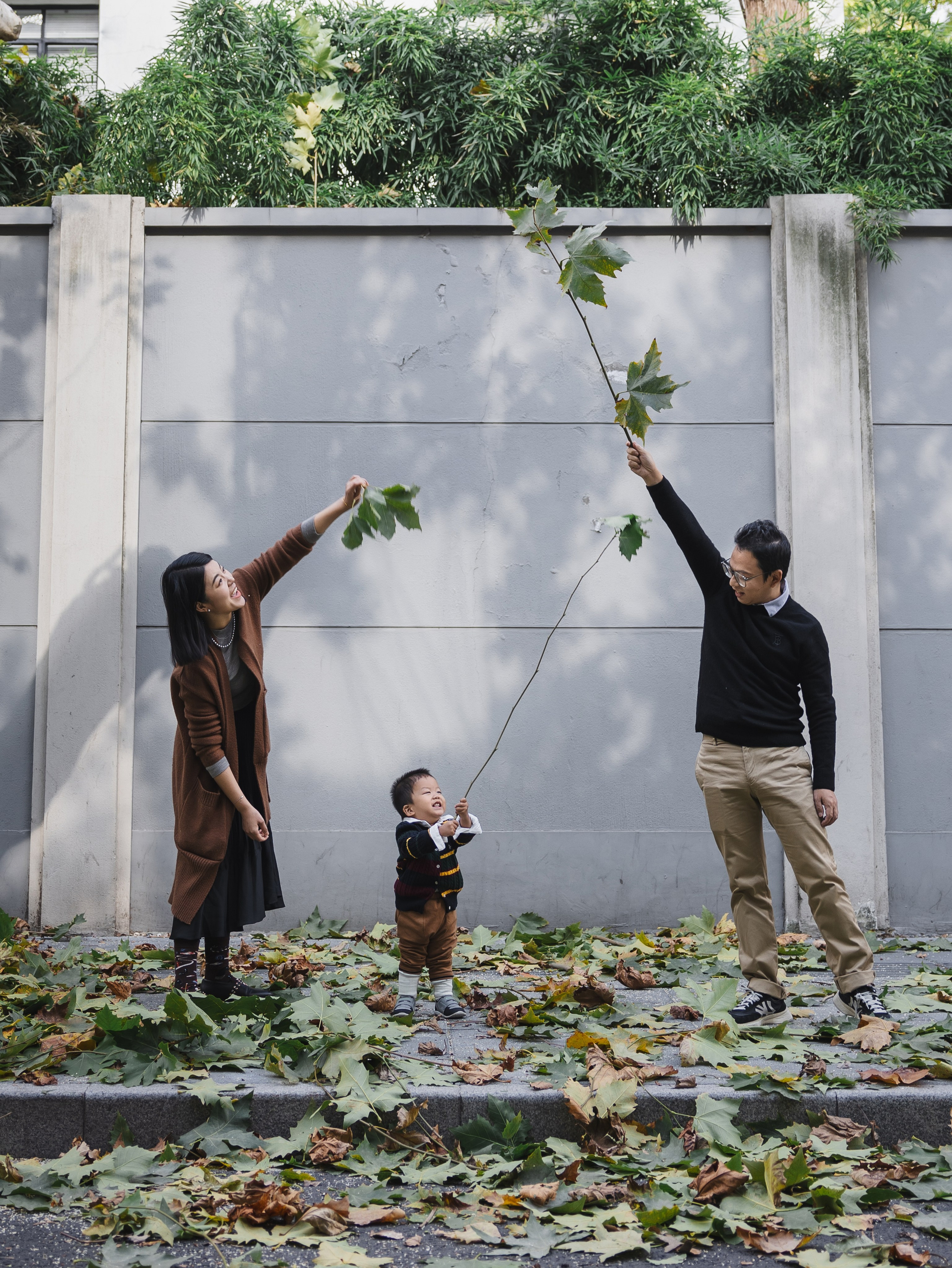 In the autumn of Shanghai, sycamore leaves covered the street, and the parents were playing with their two-year-old baby.