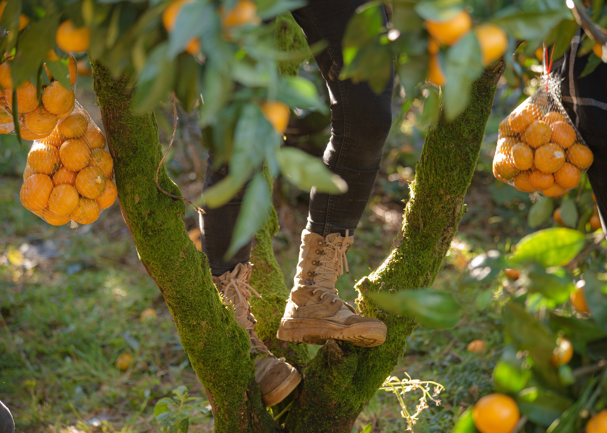 Event. PHOTOSTORYNIKA