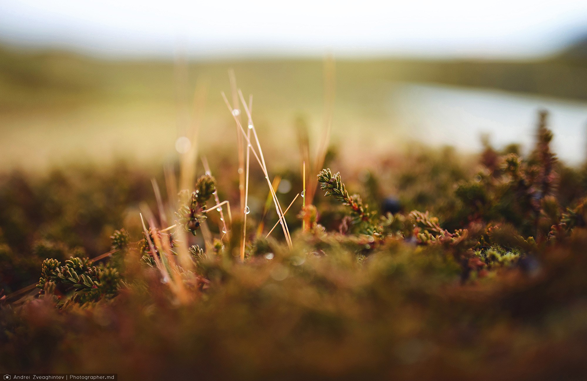 Cele mai frumoase imagini din Islanda - fotograf travel Andrei Zveaghintev. Fotograf nunta si familie in Moldova, Chisinau - Andrei Zveaghintev