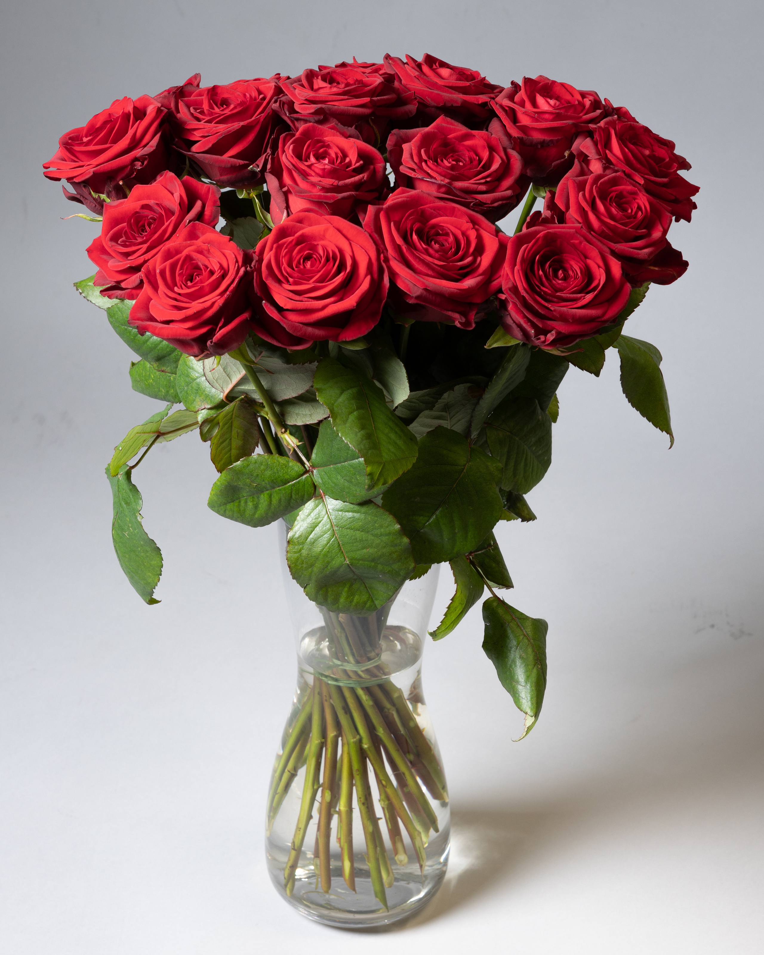 WEBSHOP BLOMSTERBUTIK. Fotograf Aarhus | Portrætfoto Århus | Flotte billeder