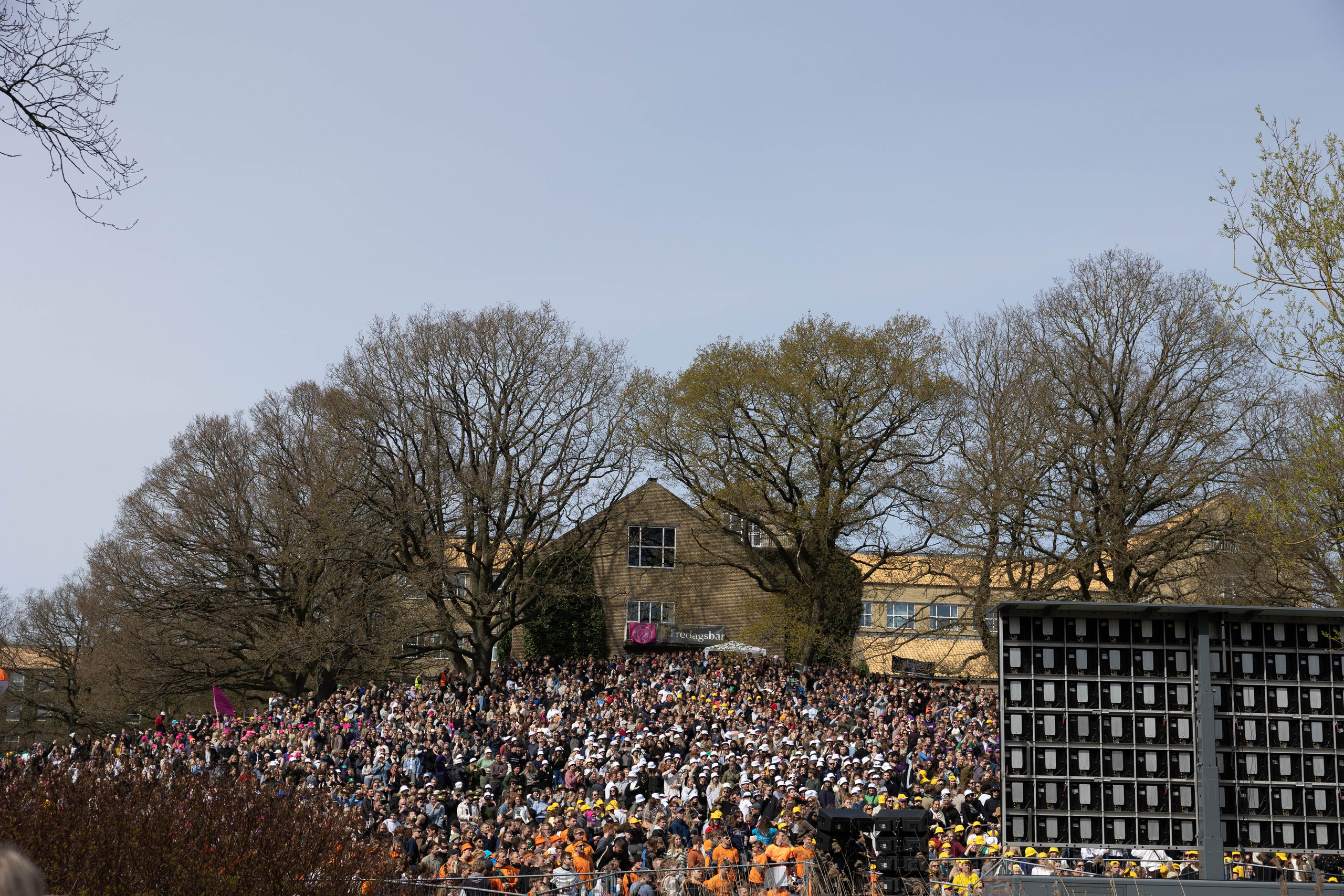 Universitetsparken 2023. Fotograf Aarhus | Portrætfoto Århus | Flotte billeder