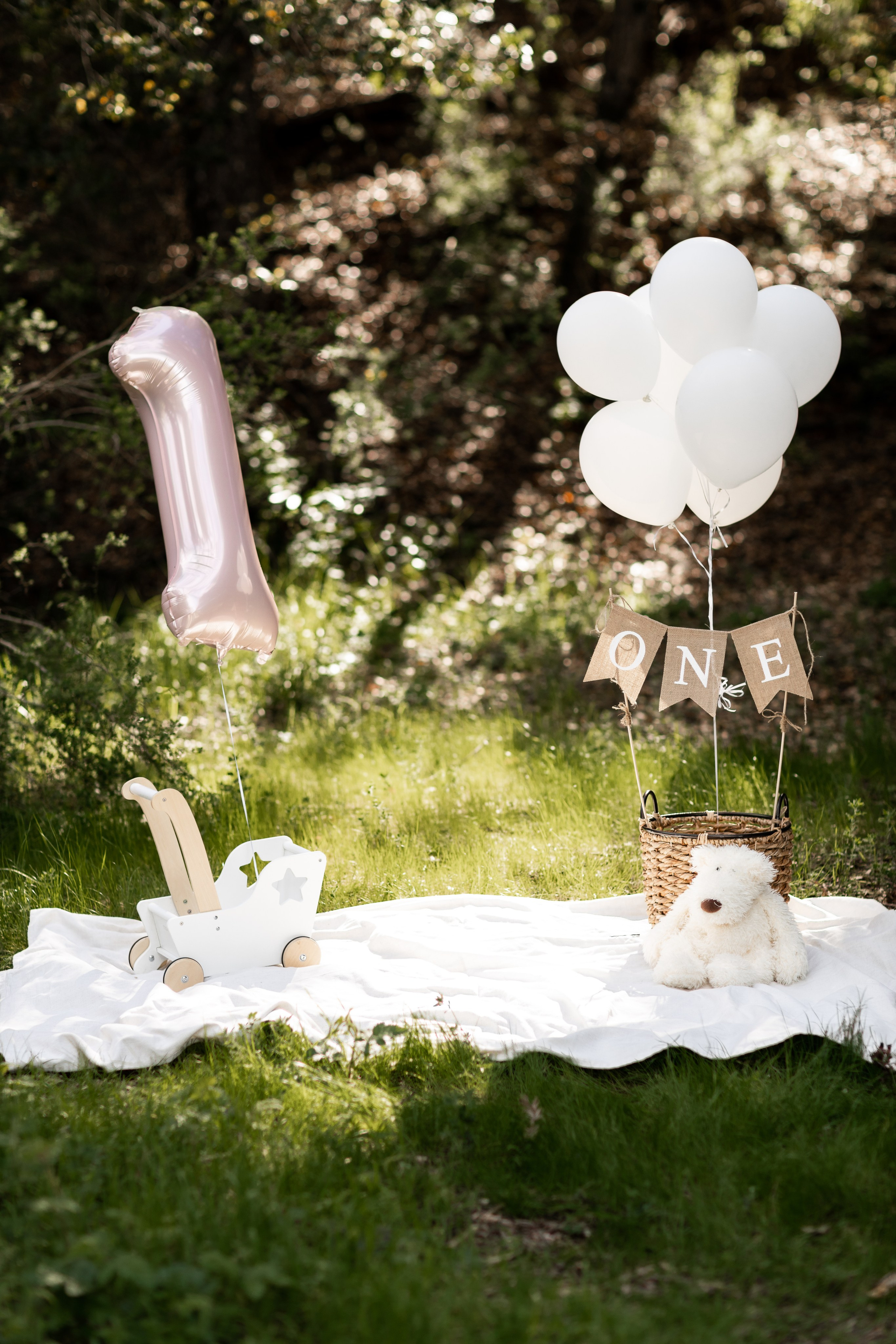 Props. Family photographer in Bay Area, California