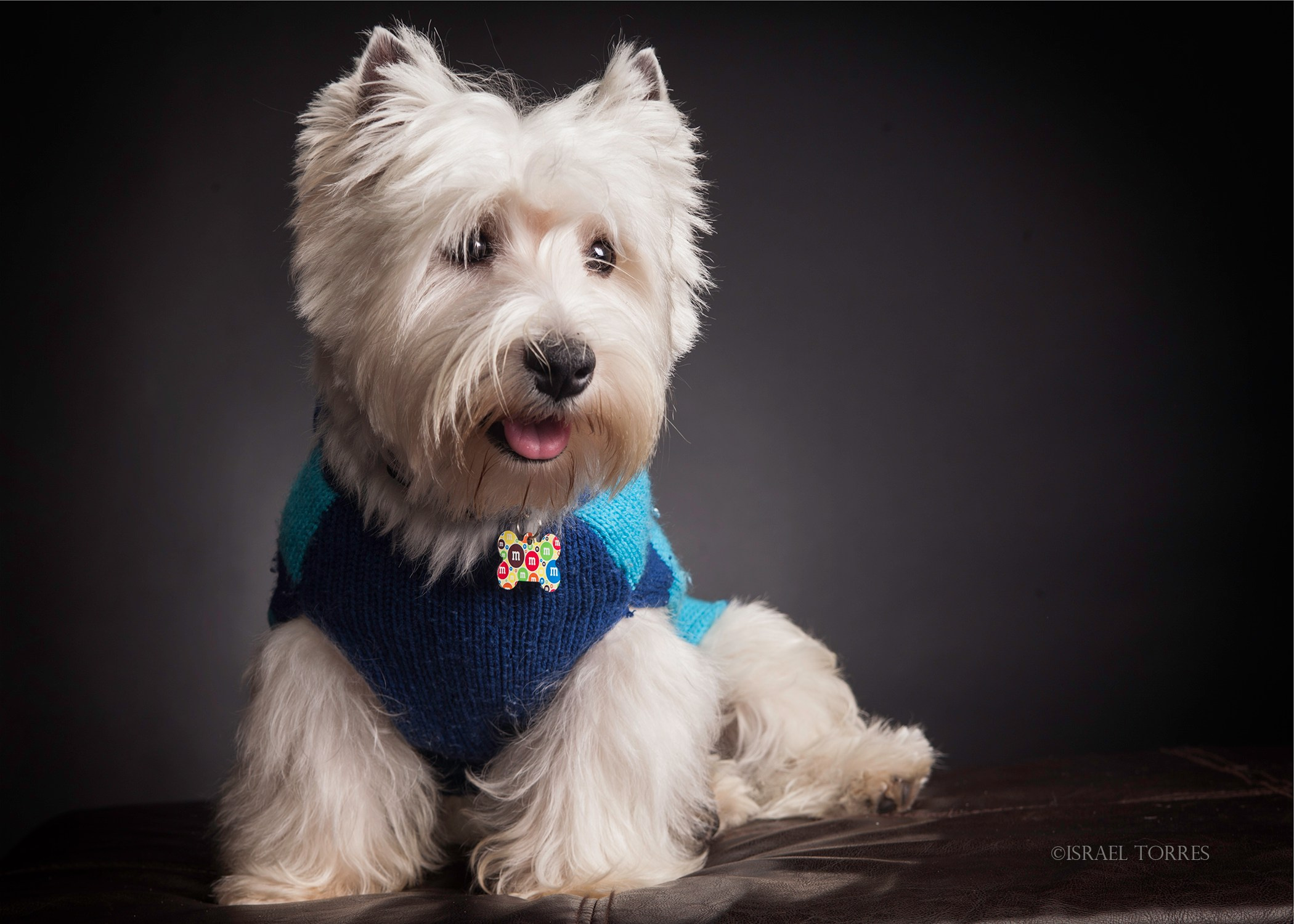 Family, kids & Pets. Estudio de fotografia en Tijuana