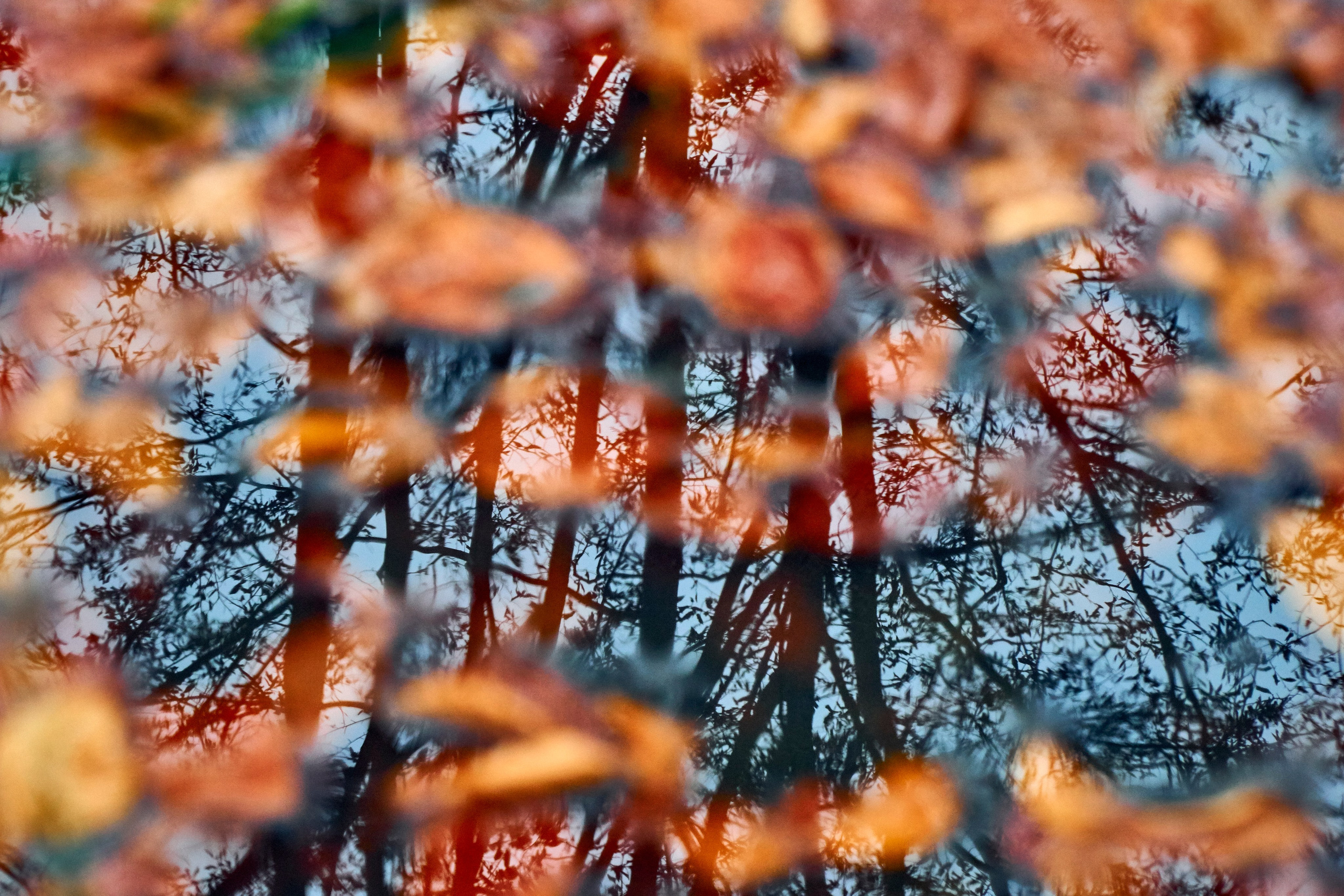 Бещады — здесь остановилось время. Андрей Шипилов — Фотография & Видеография