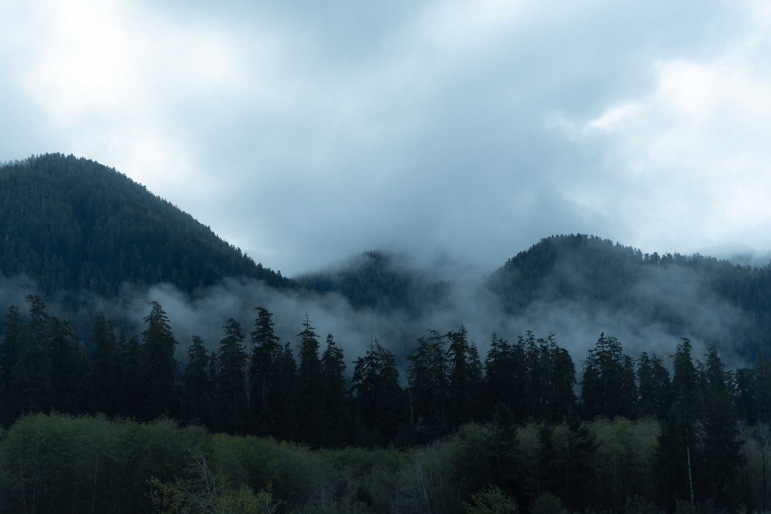 Twilight | Wallpapers. Photographer in Los Angeles. Julia Ishmuratova