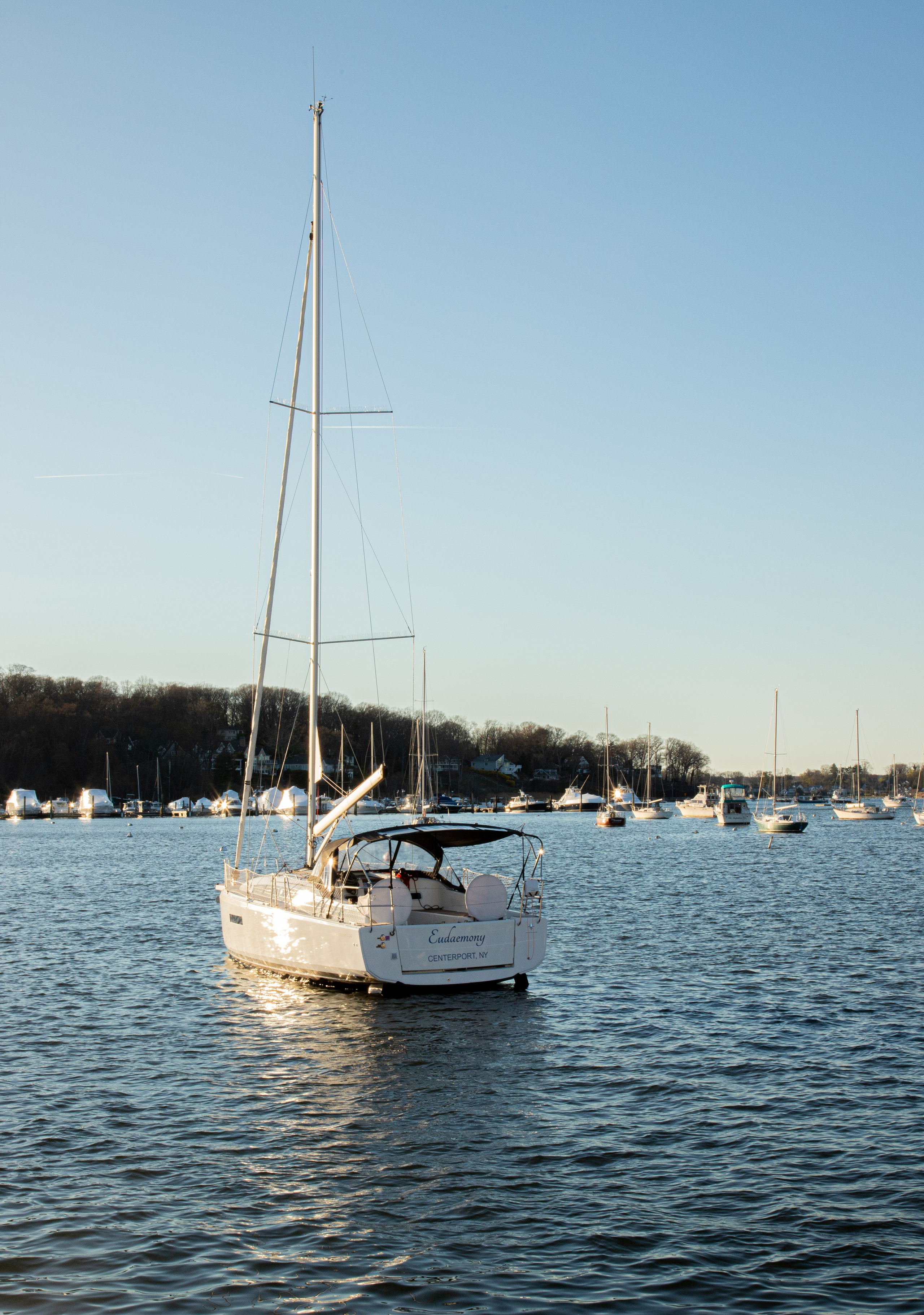 Proposal Long Island. Wedding Photographer & Videographer