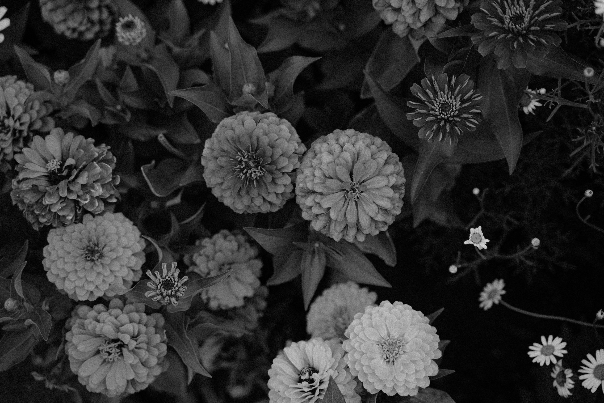 Love Story//Familie. Authentische und emotionale Familienfotos in Landshut und Umgebung