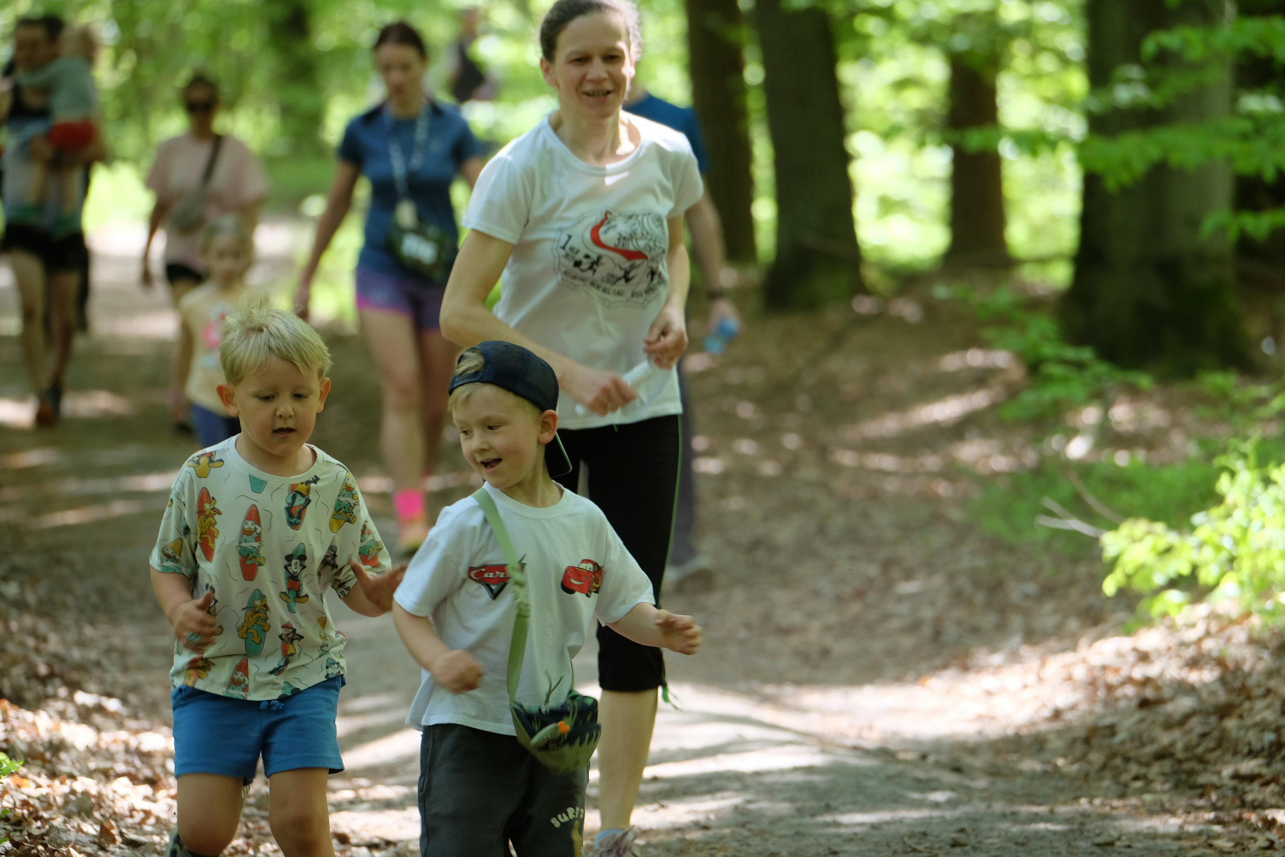 Aleksandryjska Piątka po lesie. Main