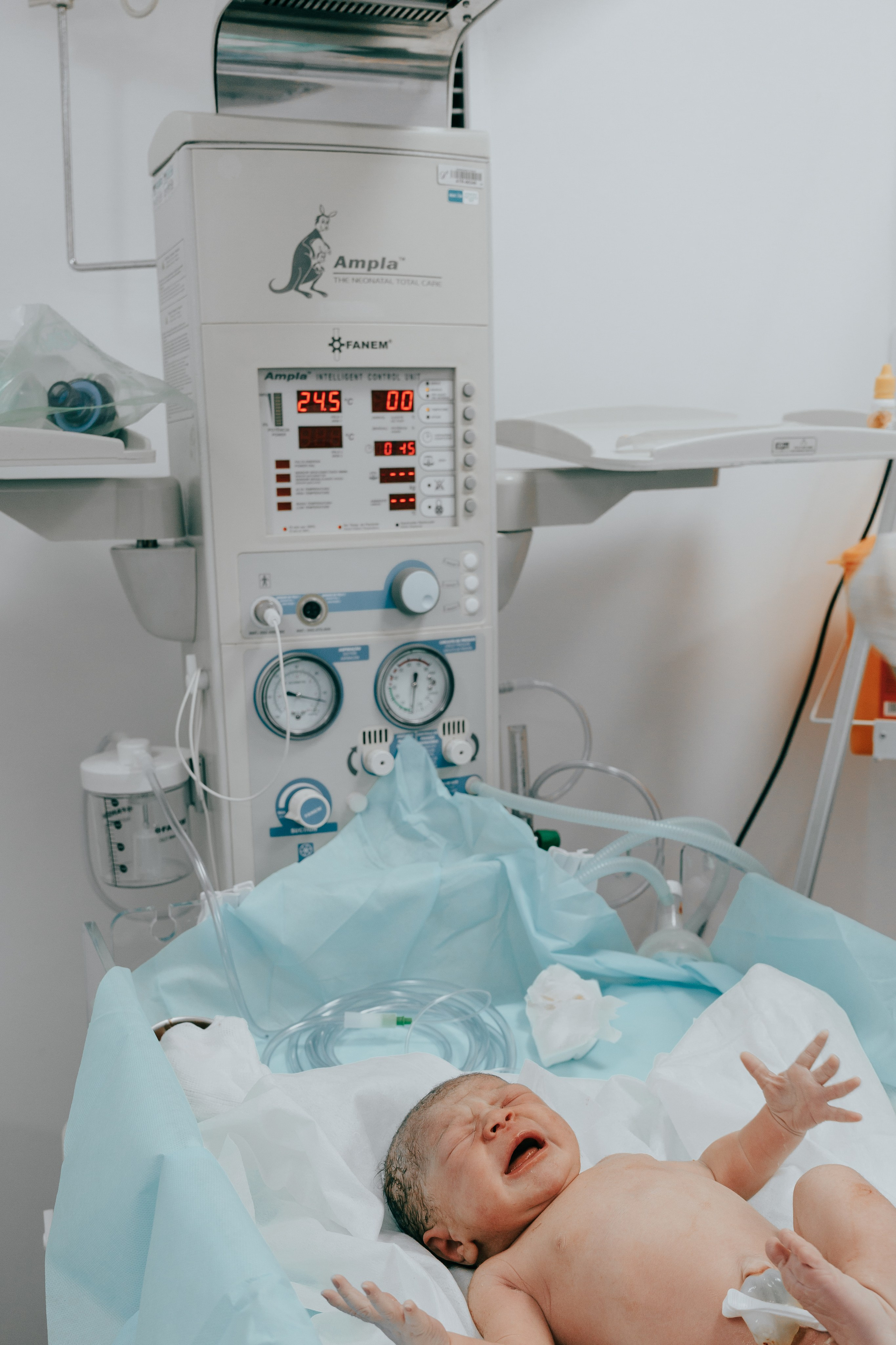 Nascimento Maria Cecília