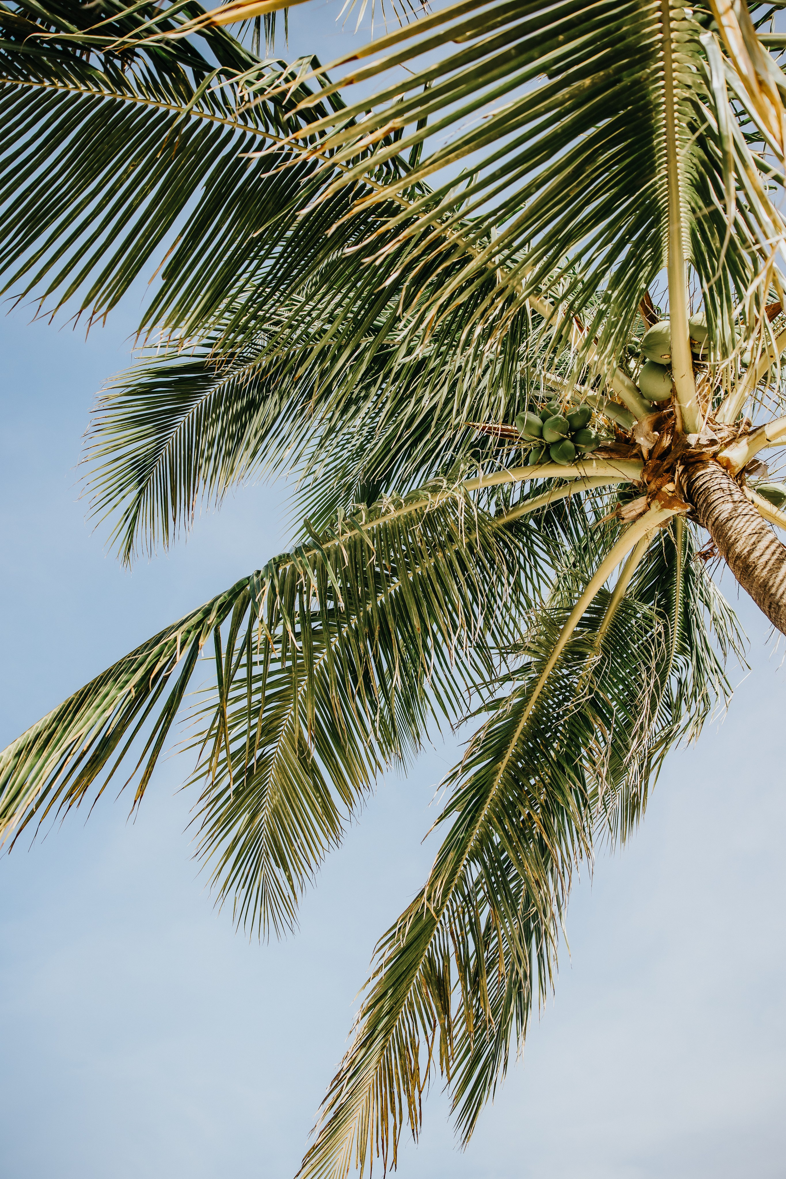 Heather & Jose wedding. Alya Leto Photographer