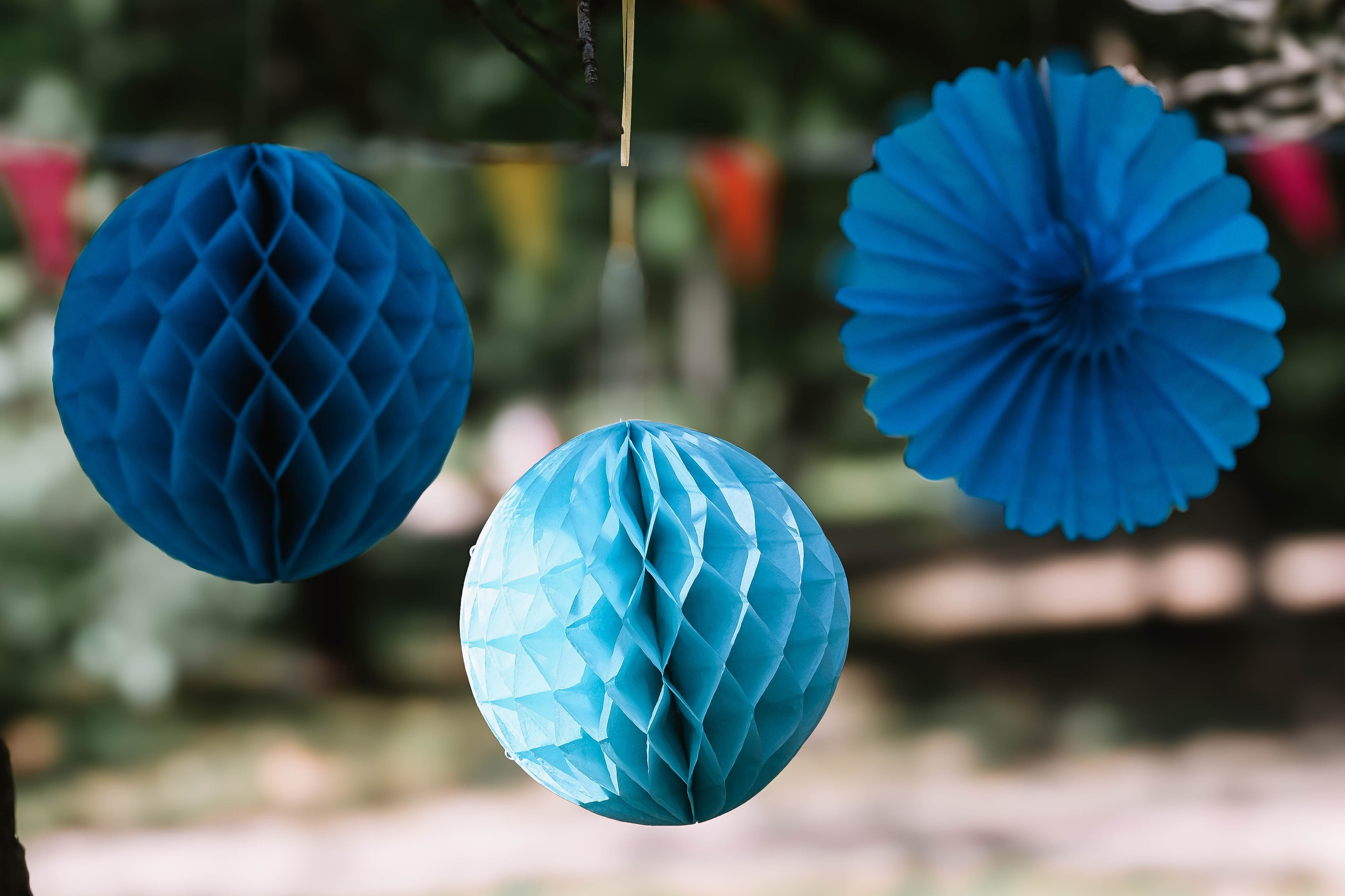 Novak 5. rođendan. Dečiji i porodični fotograf