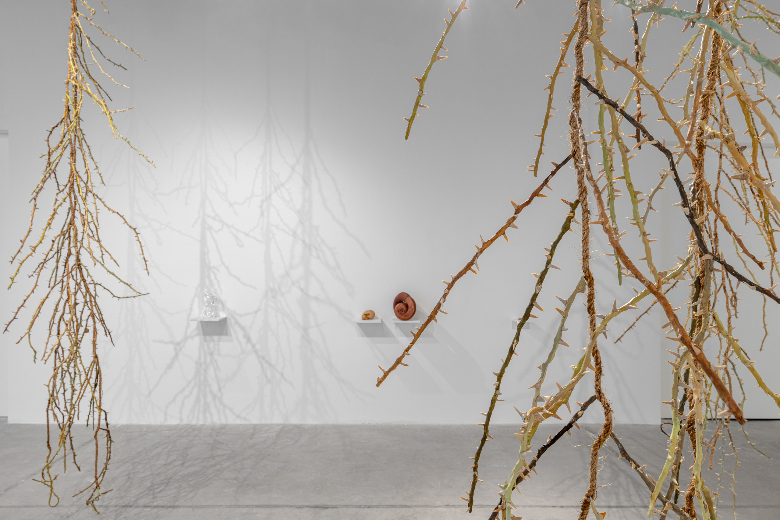 Nika Project Space “Beghost”