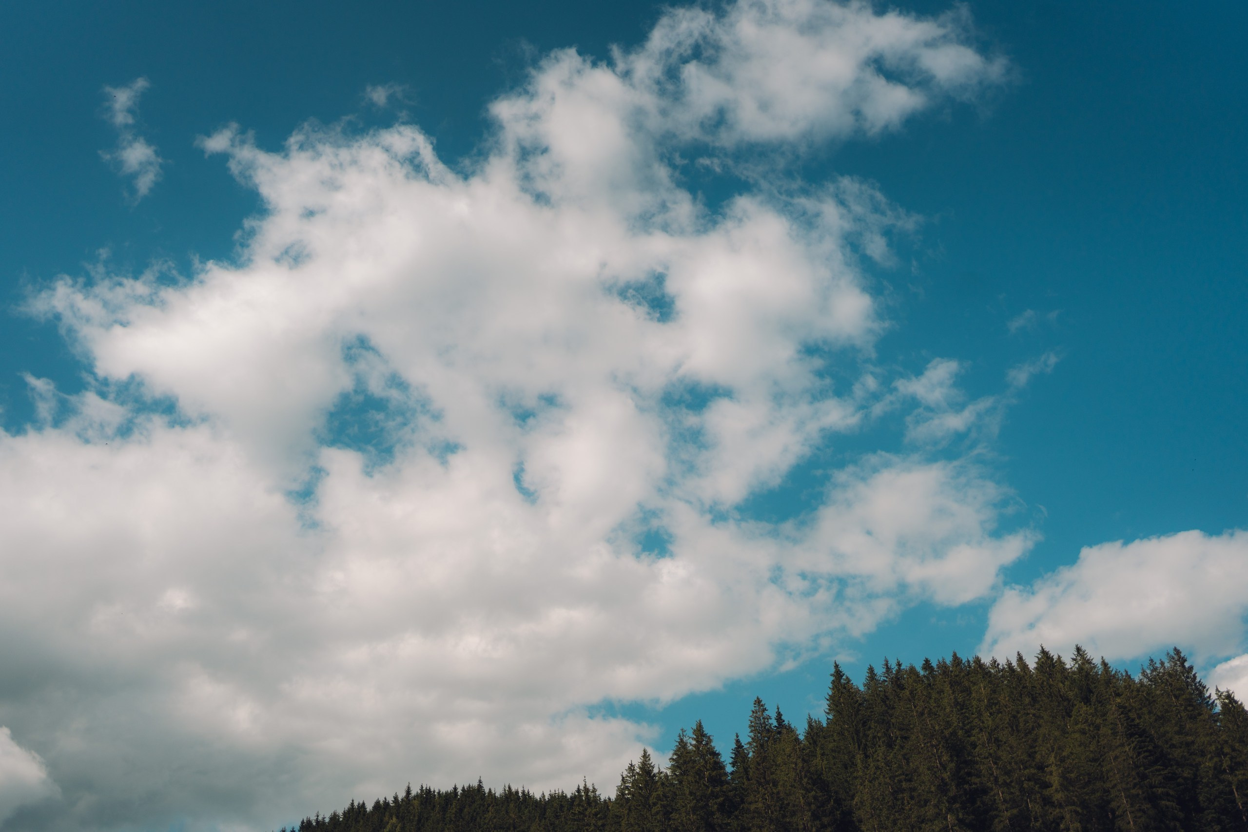 Anastasia & Paul. Ionut Cimpoes FOTOGRAF