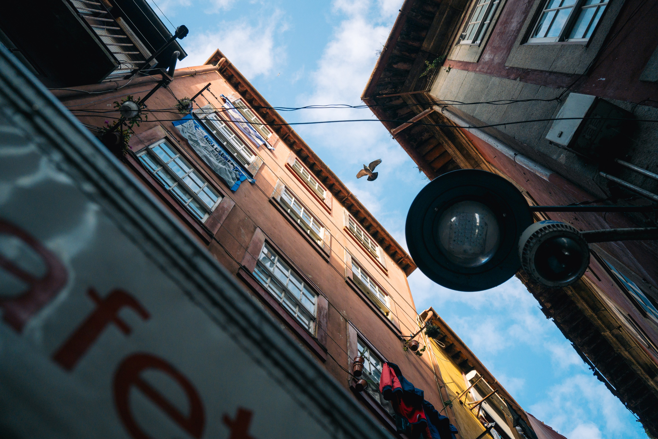 Street. Maria Sher. Professional photographer from Porto, Portugal