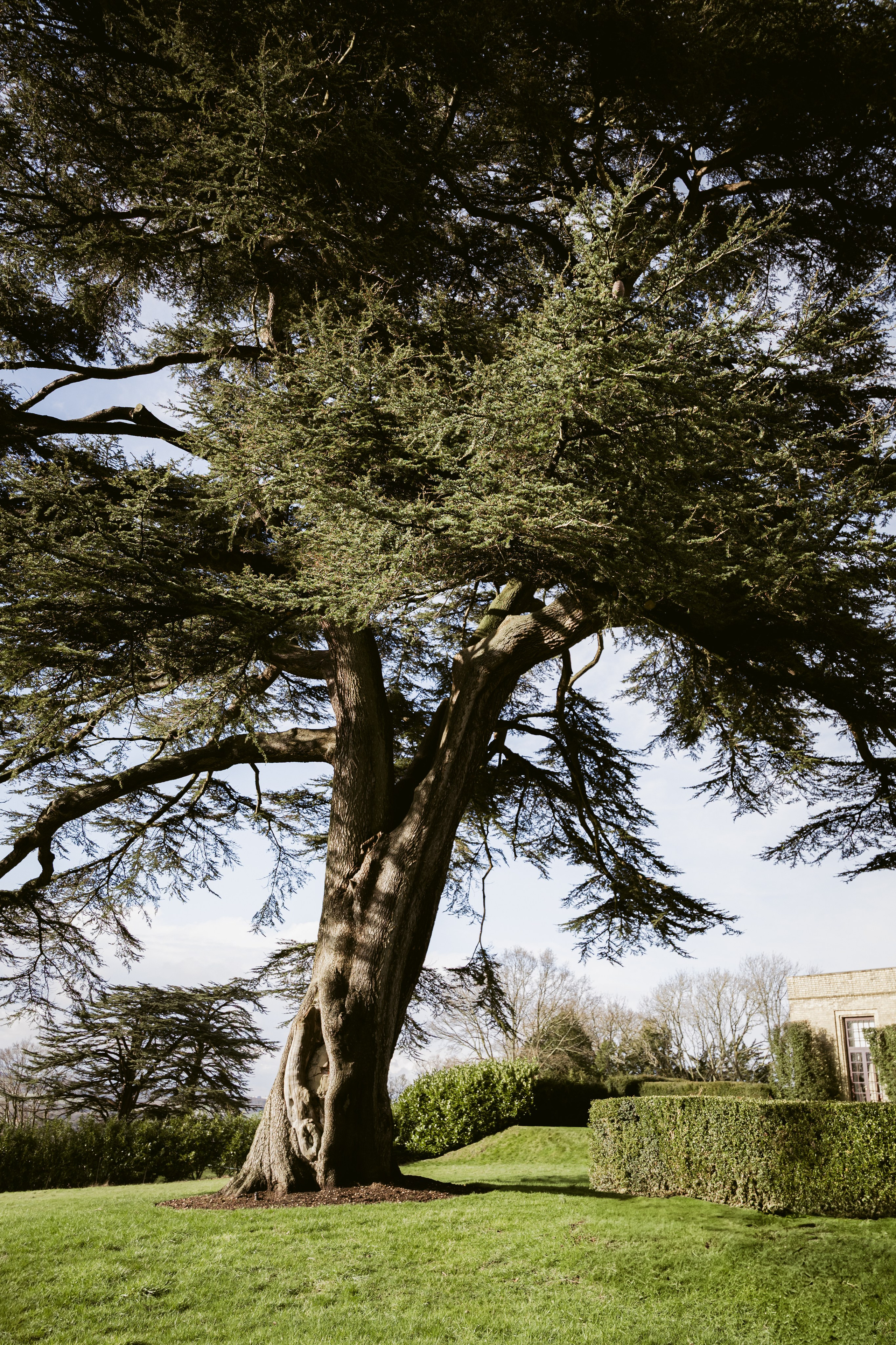 Hedsor House editorial. Timeless Wedding & Event Photography — based London, working across Europe