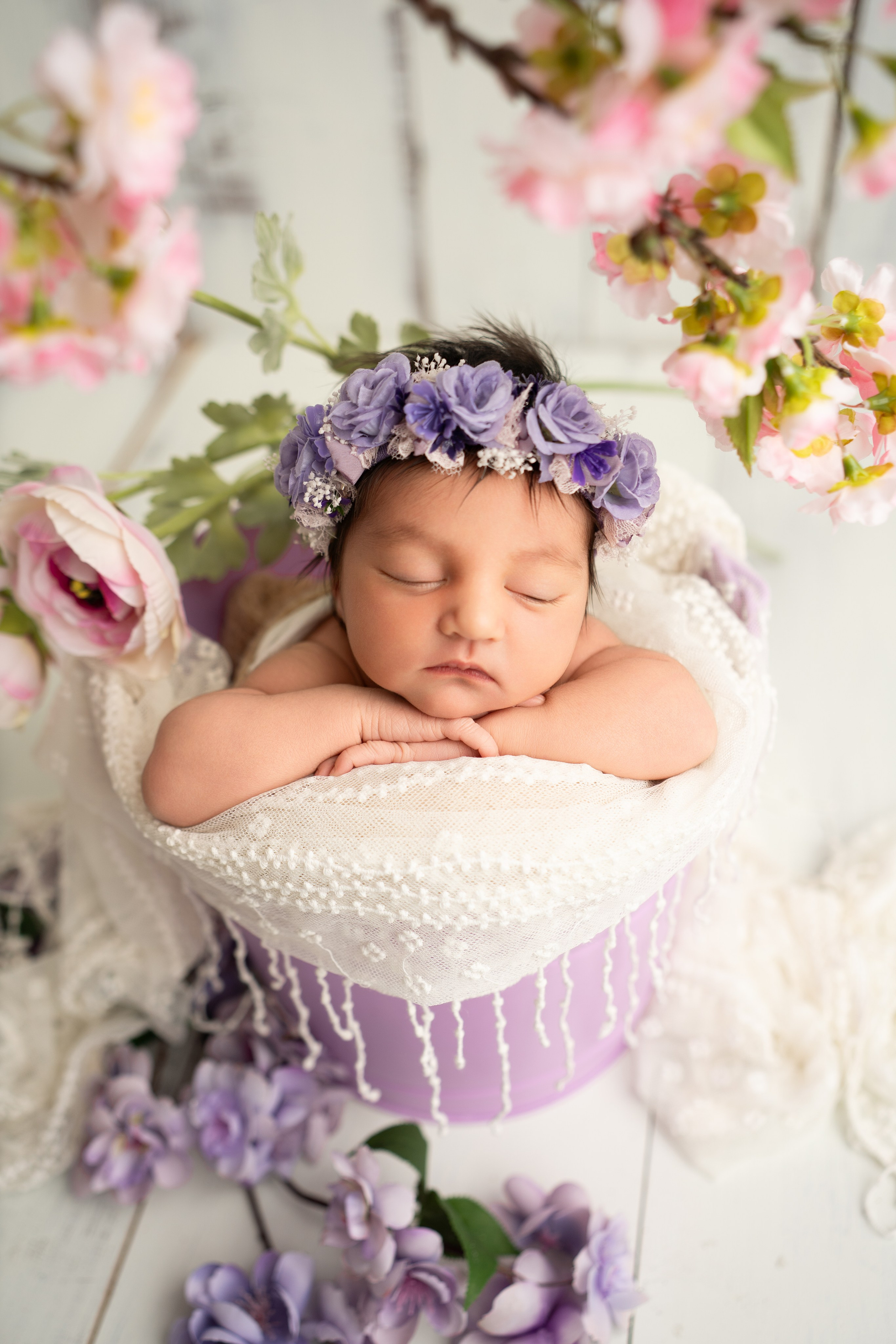 Posed Newborn. Maternity, family and newborn photography in San Francisco Bay Area
