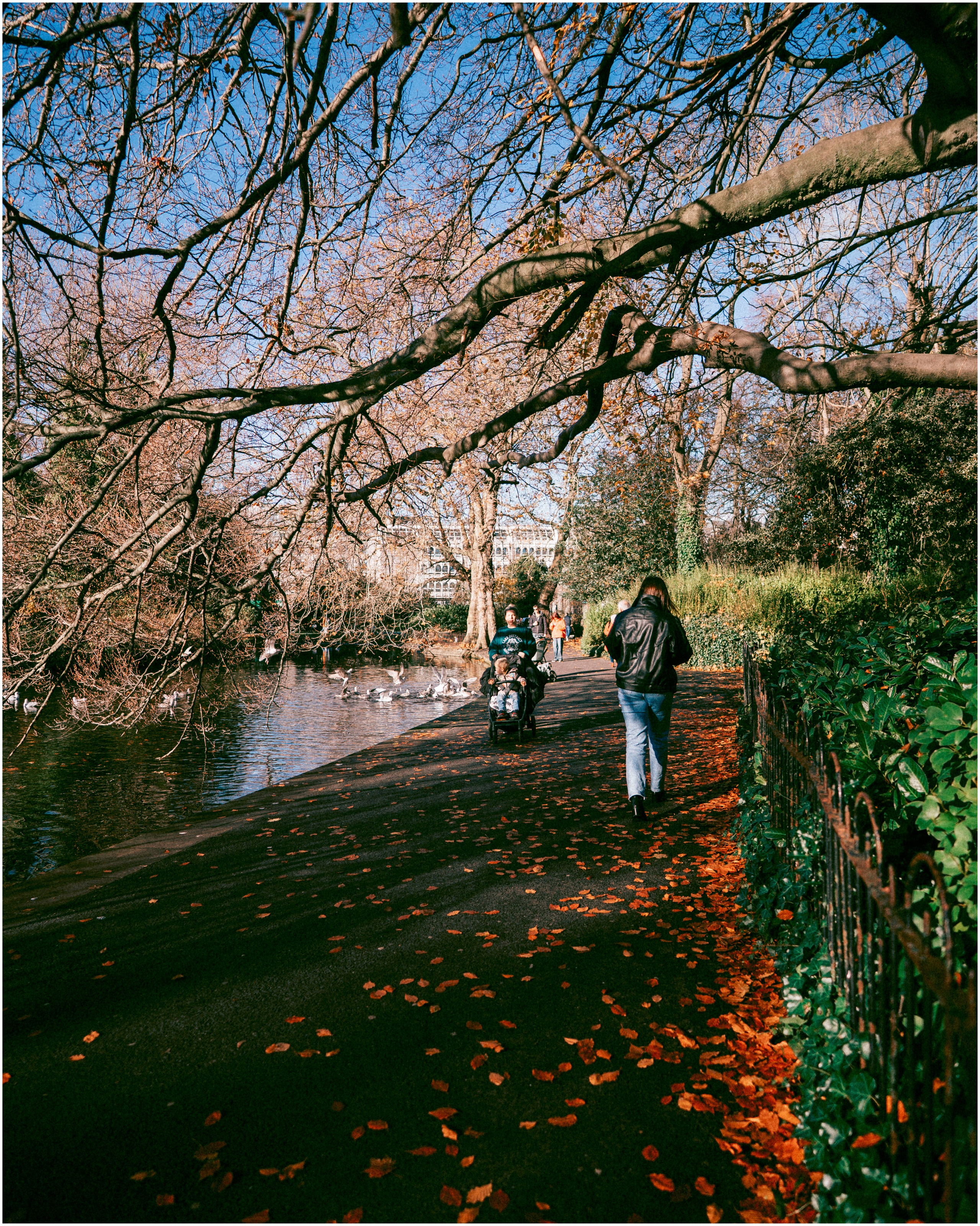 IRELAND. Inna Mendelson — Photographer