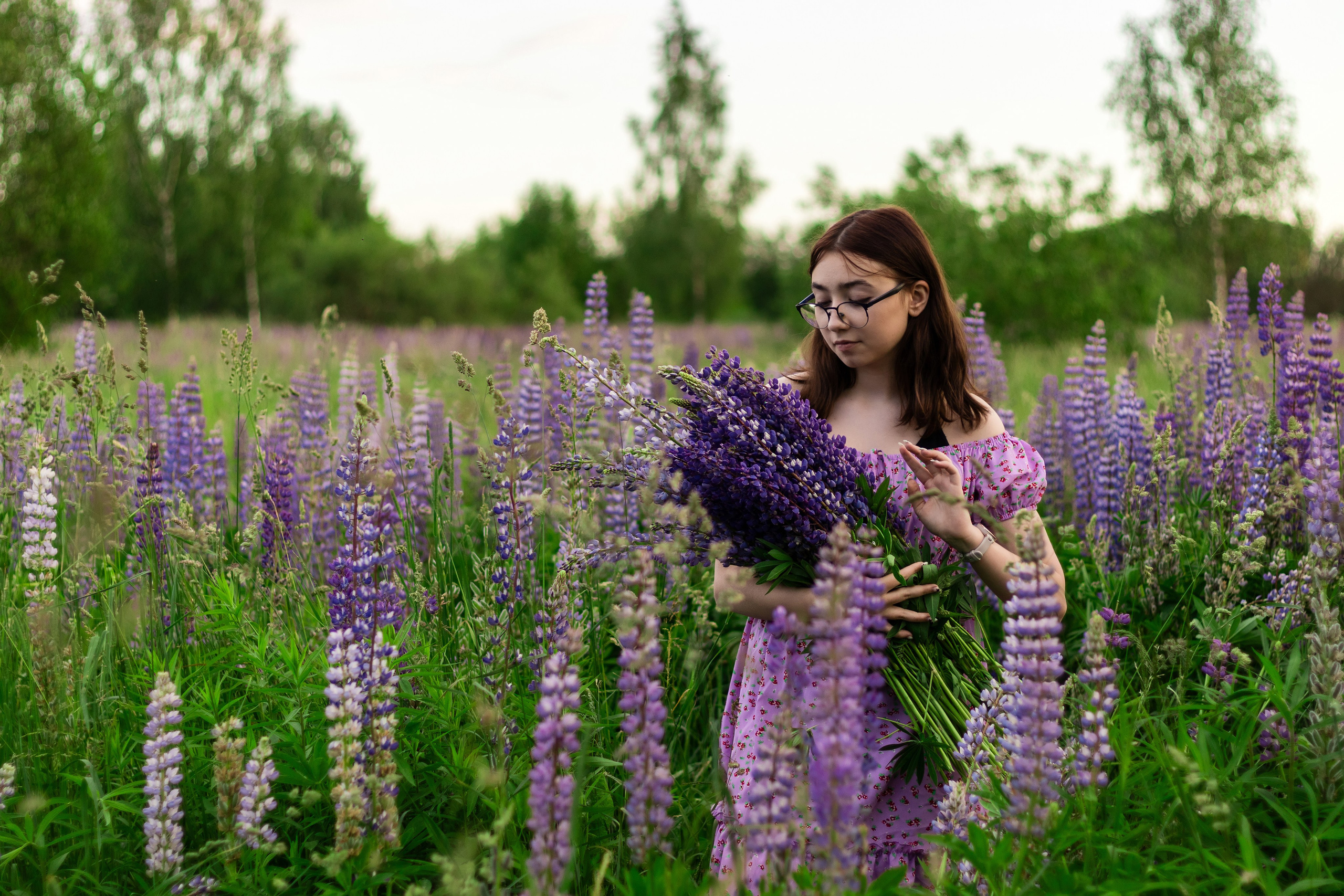 Фотосессия в люпинах. Фотограф / Даугавпилс / Ольга Антонова