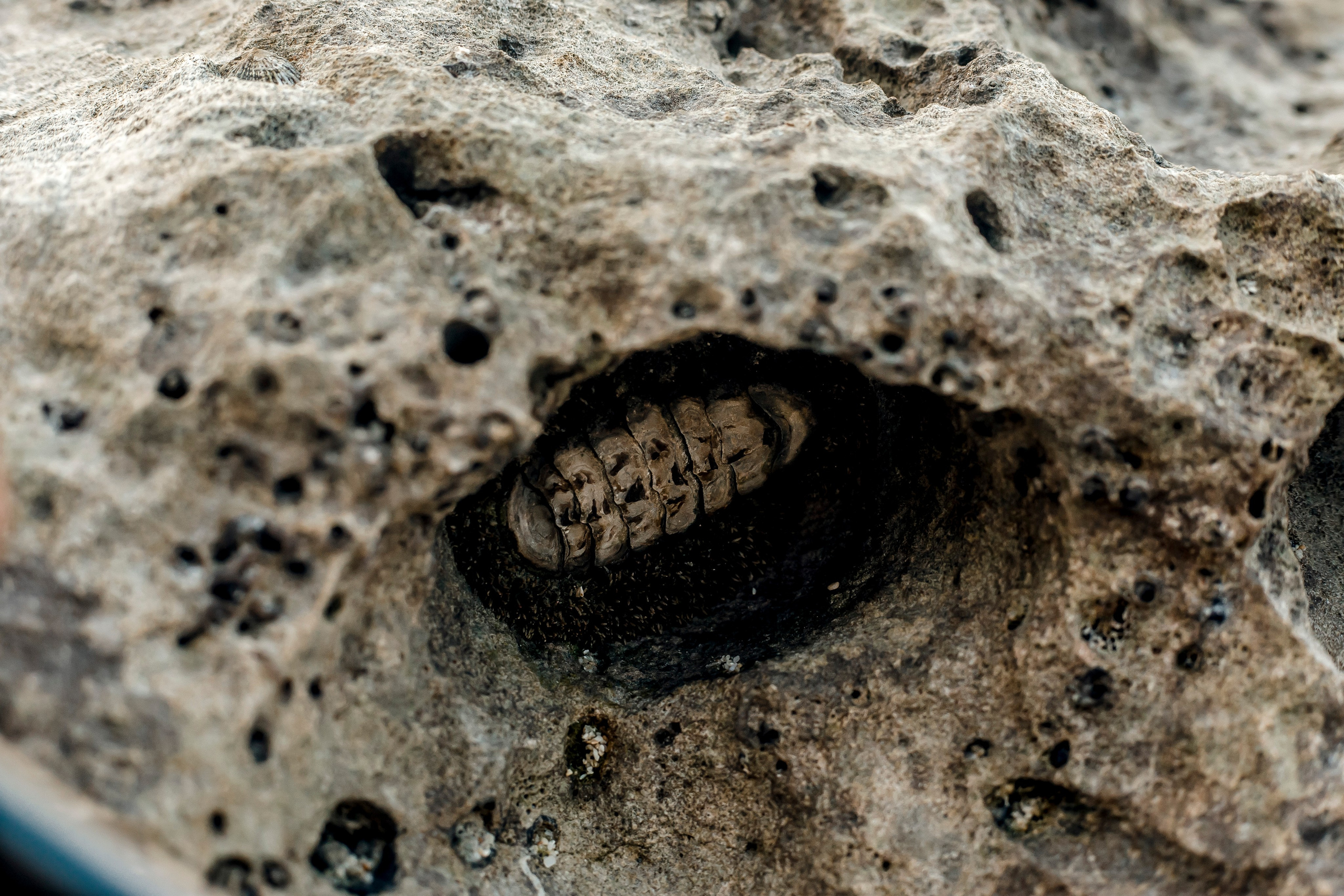 Andaman Islands, Part2. Art Photographer