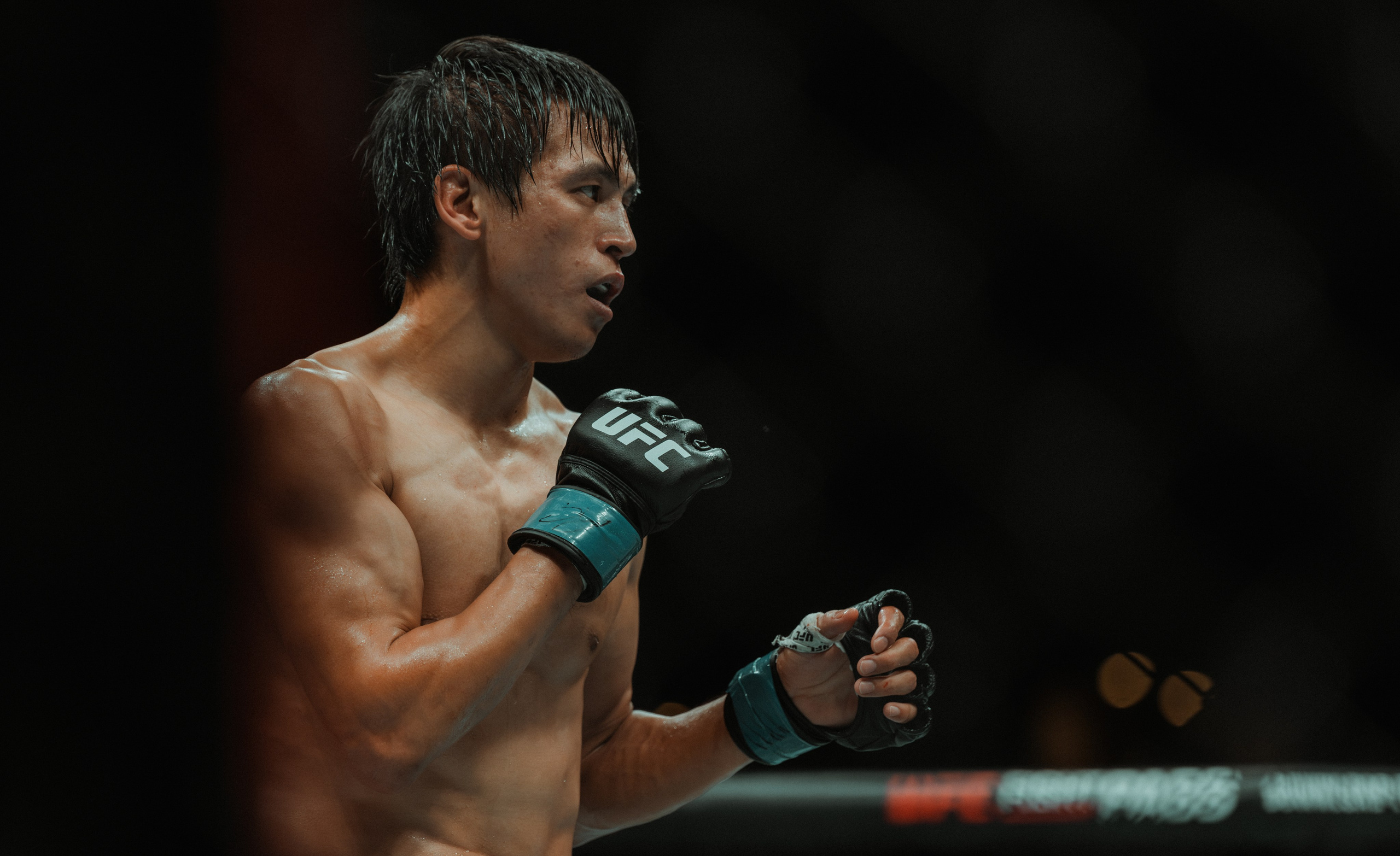 UFC. Commercial and Event photographer Eltaj