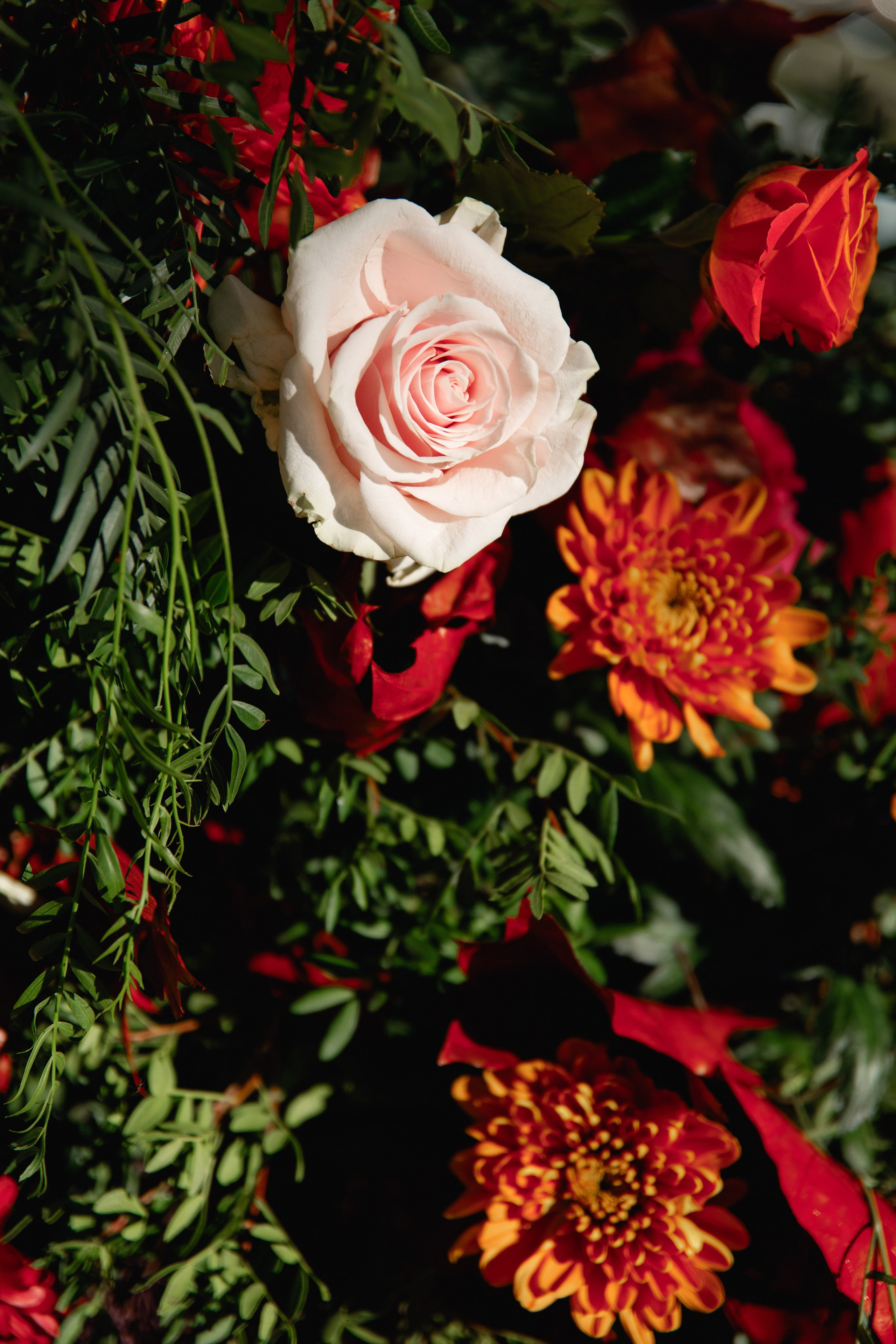 Wedding Photographer in Rome. Wedding Photographer Rome Tuscany Como Sicily Puglia Amalfy Italy- Oksana Savenchuk