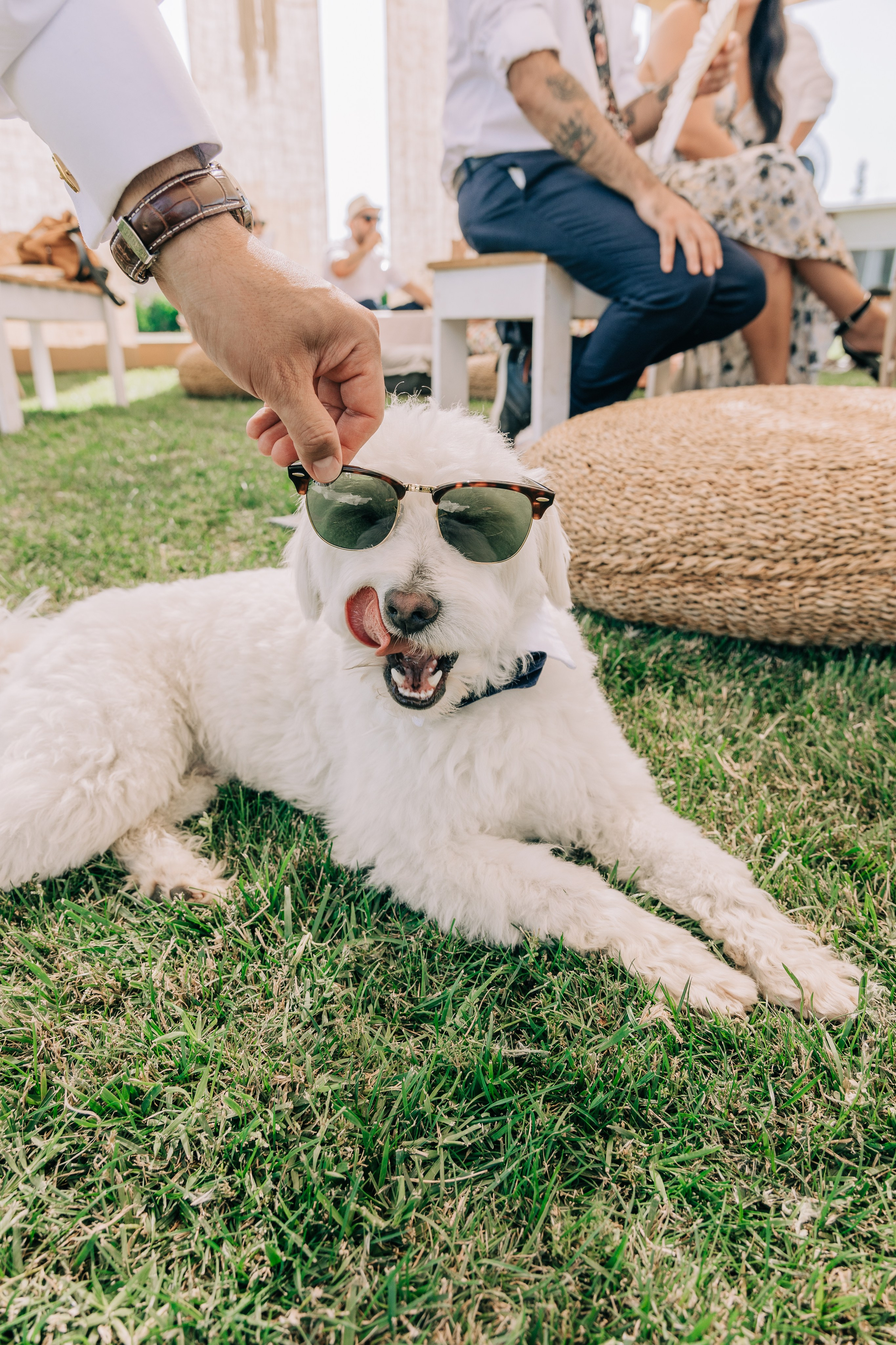 Pamela & Patricio. Fotógrafa familiar Santiago y Chile Anna Almazova