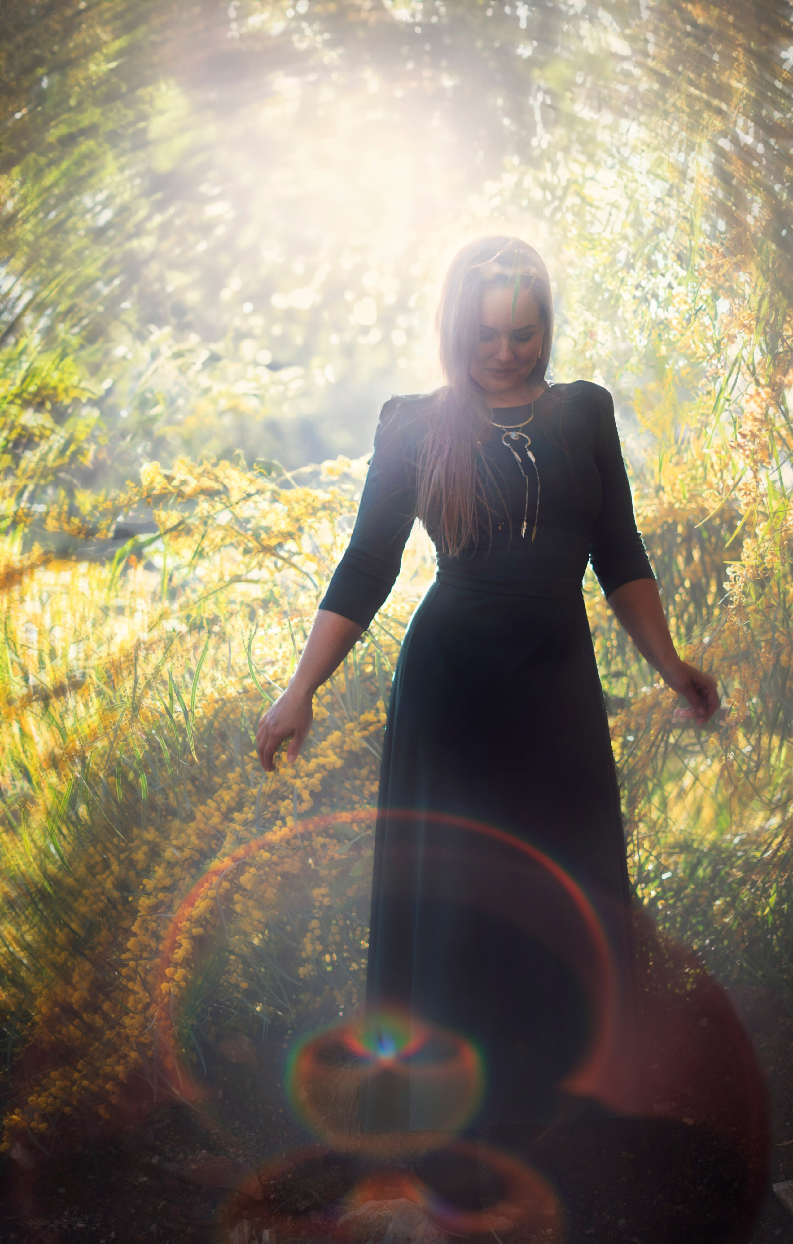 Мимоза. Анастасия Благова — Твой фотограф в Малаге 🇪🇸