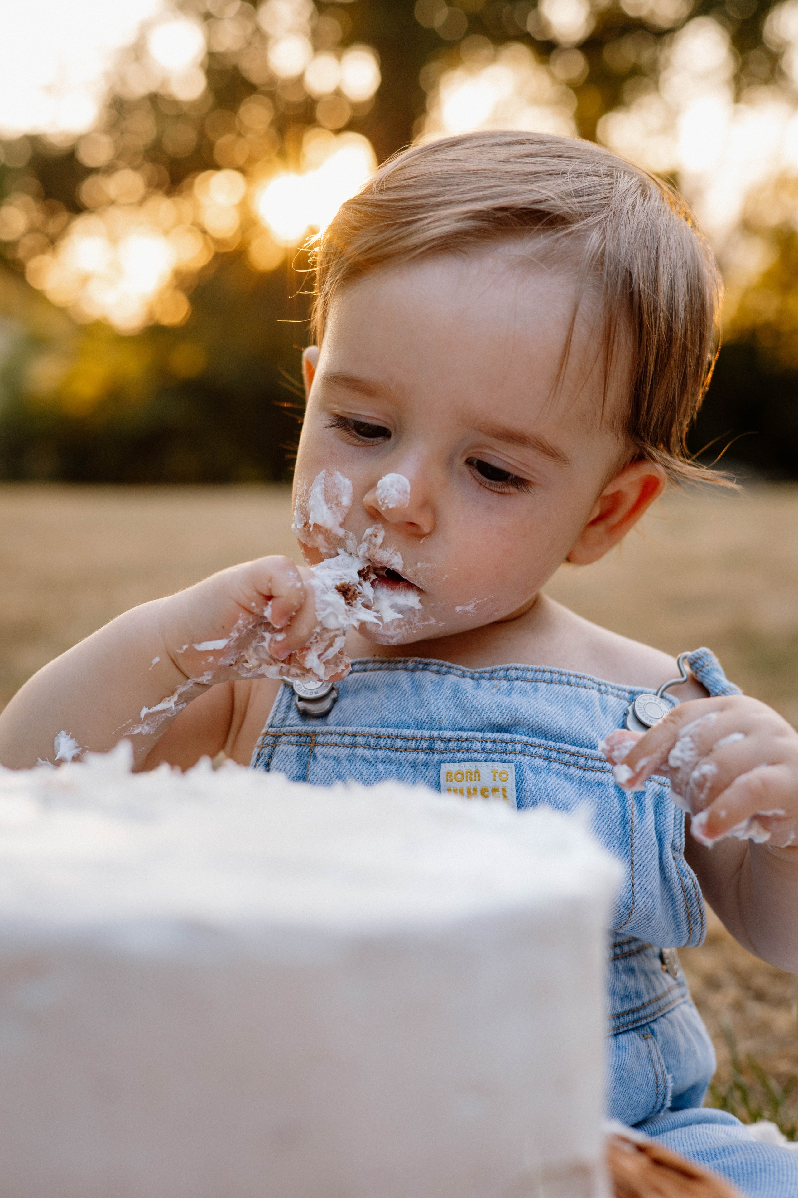 Smash Cake Photography. Family and Wedding Photographer