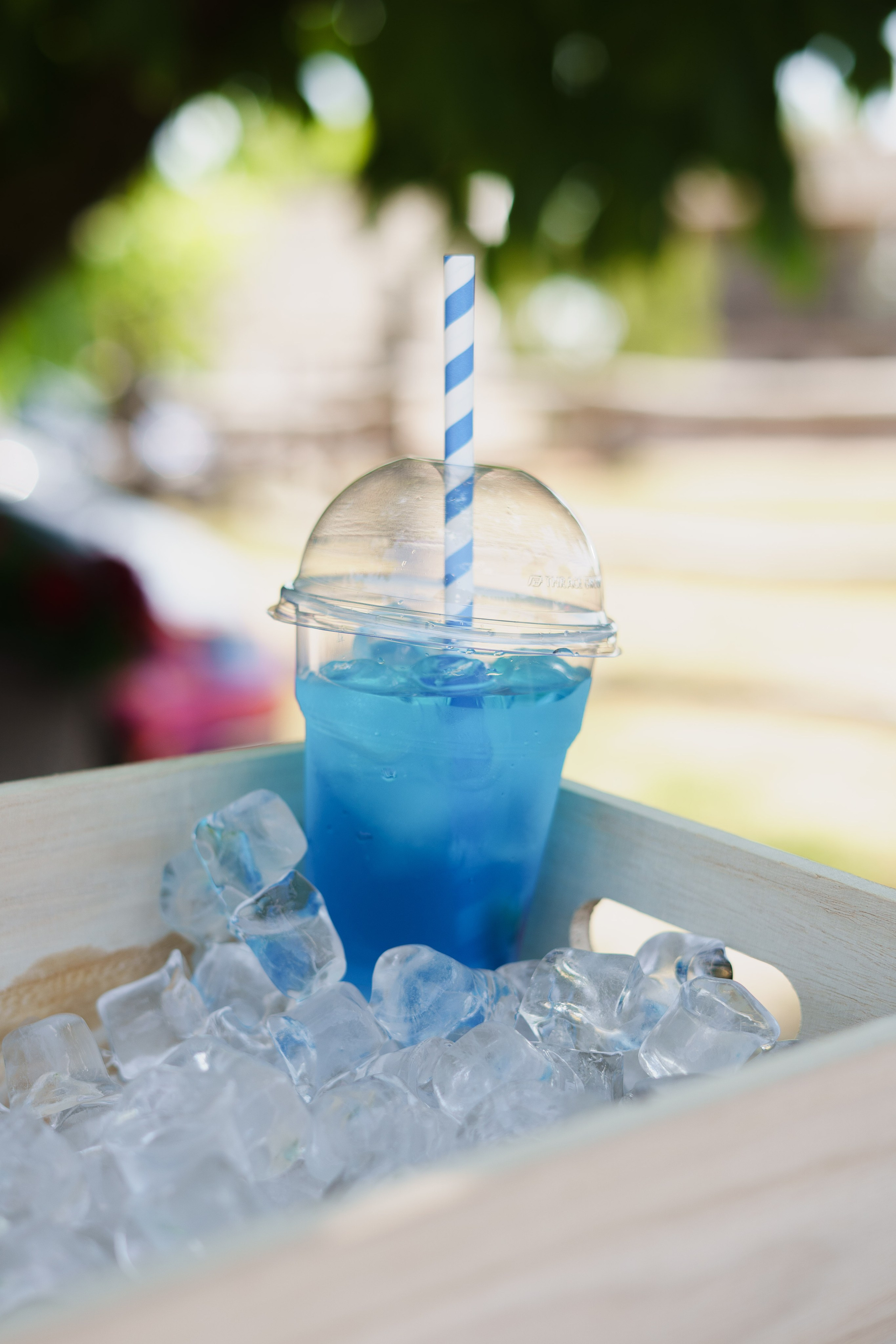 FiveTran Summer Picnic. Жуков Студио