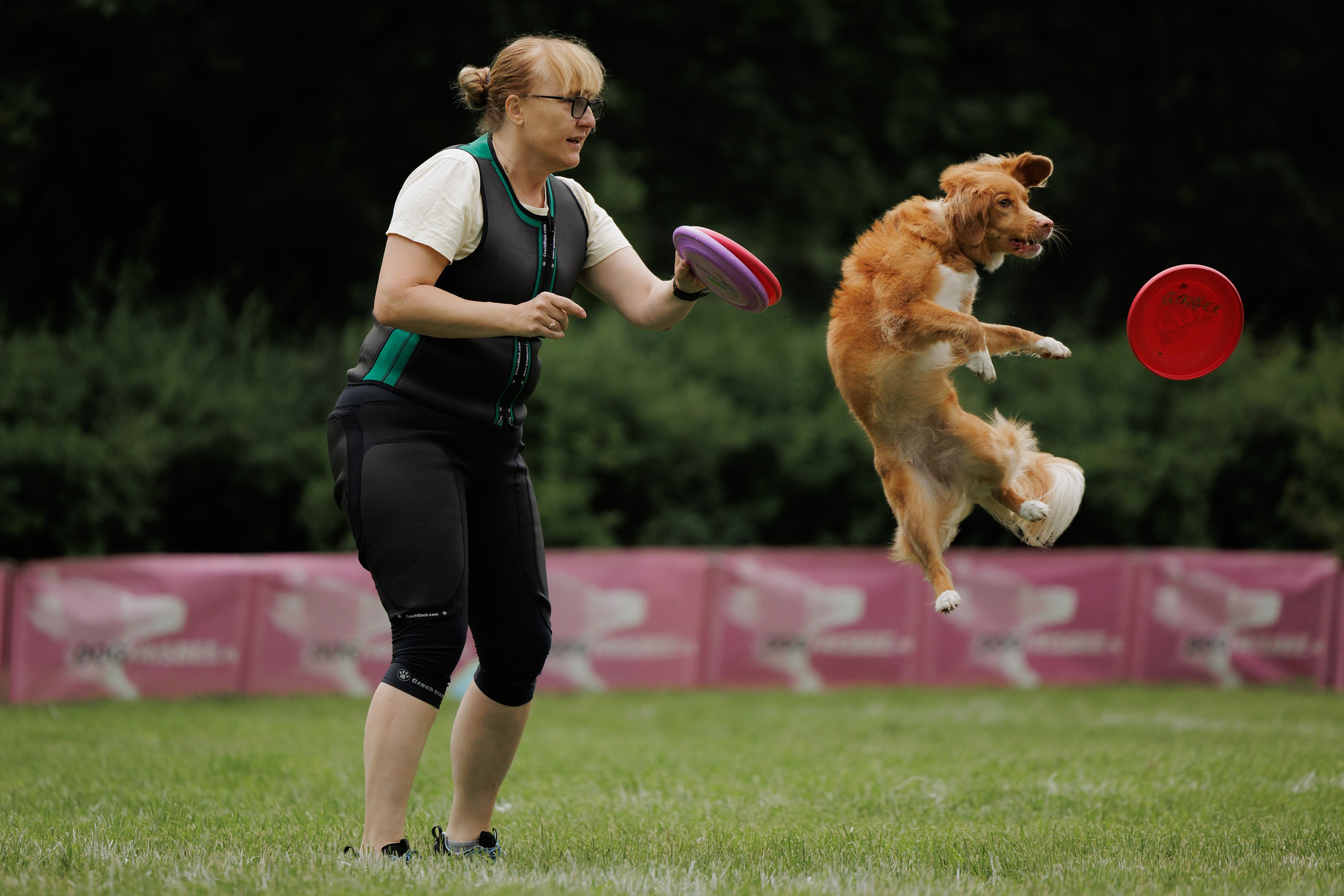Latające psy, Wrocław'25. Kaja | fotograf psów we Wrocławiu
