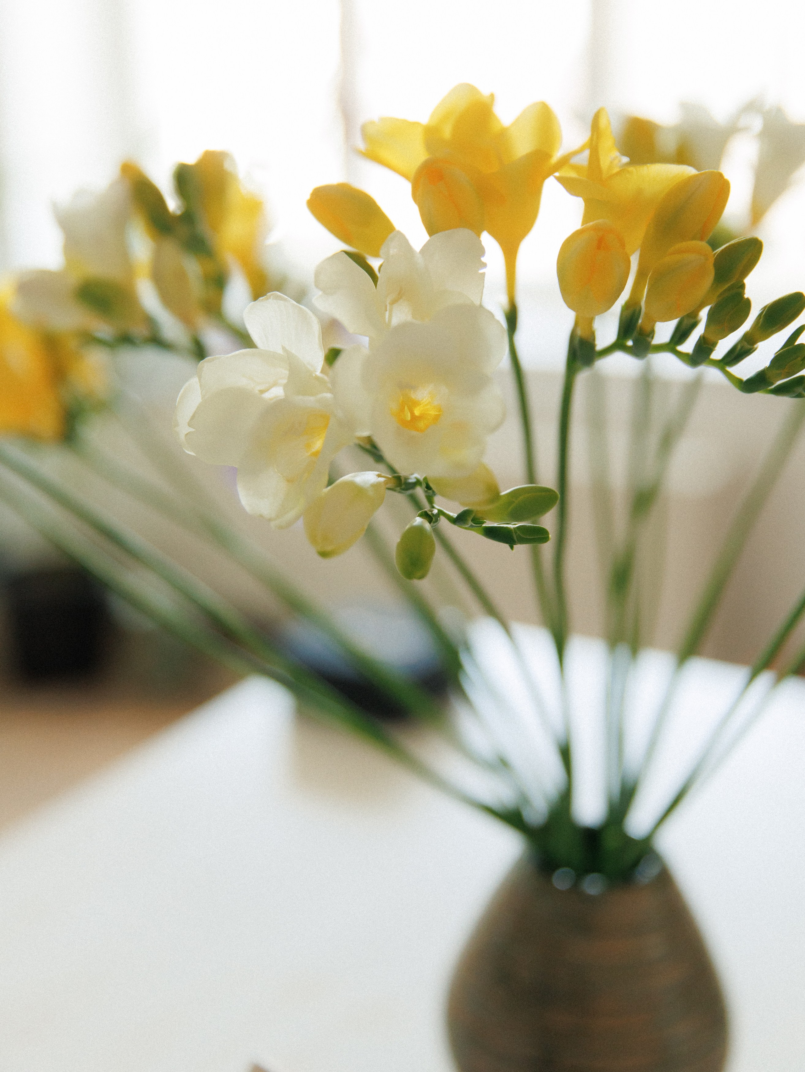 Koło ceramics. Kaja | fotograf we Wrocławiu | ludzie i psy