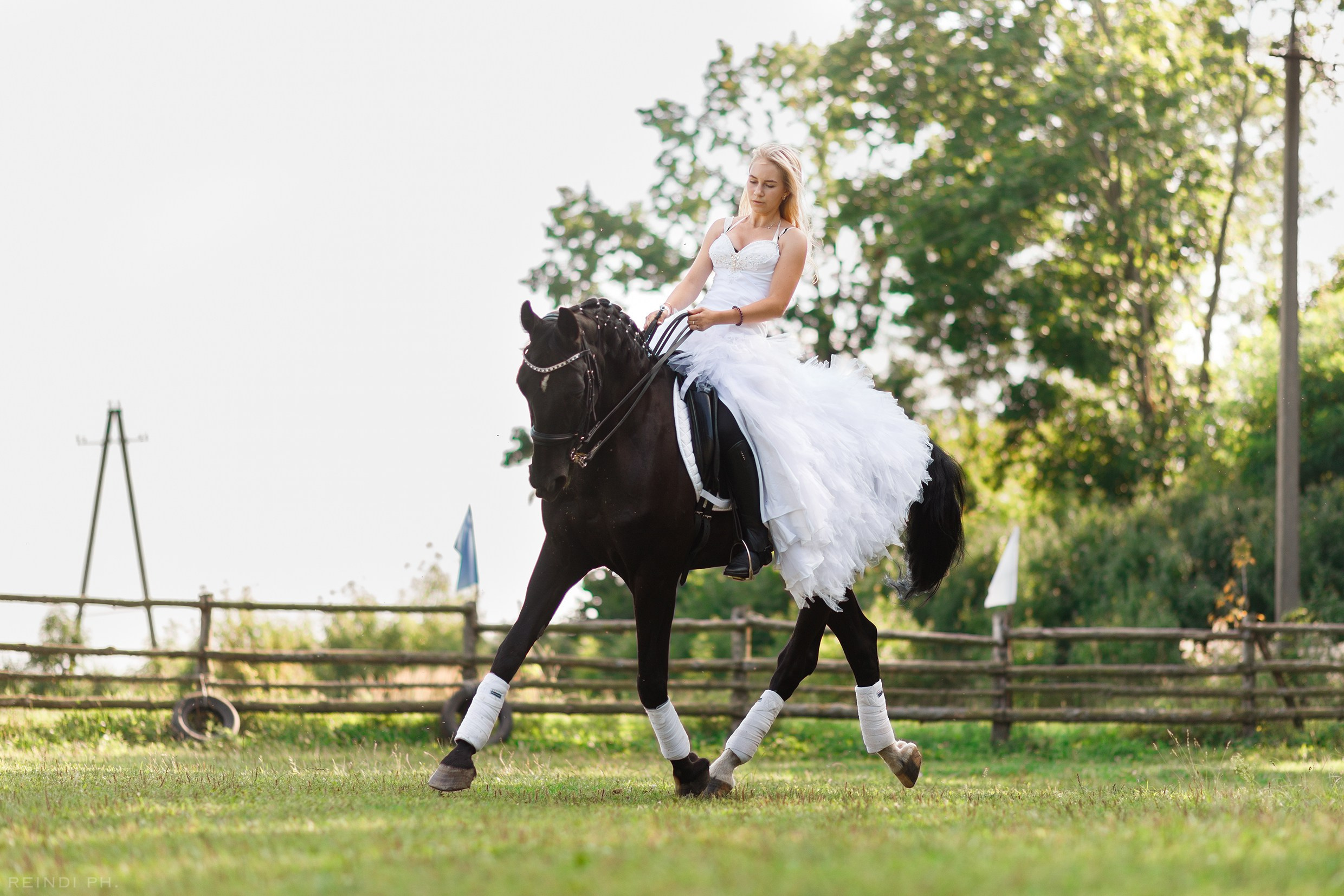 Horse show in the village. Kaja | fotograf we Wrocławiu | ludzie i psy