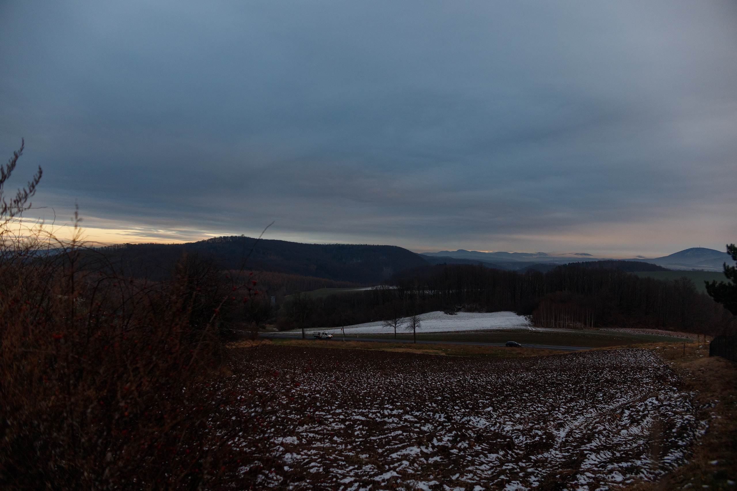 Bolków castle. Kaja | fotograf we Wrocławiu | ludzie i psy