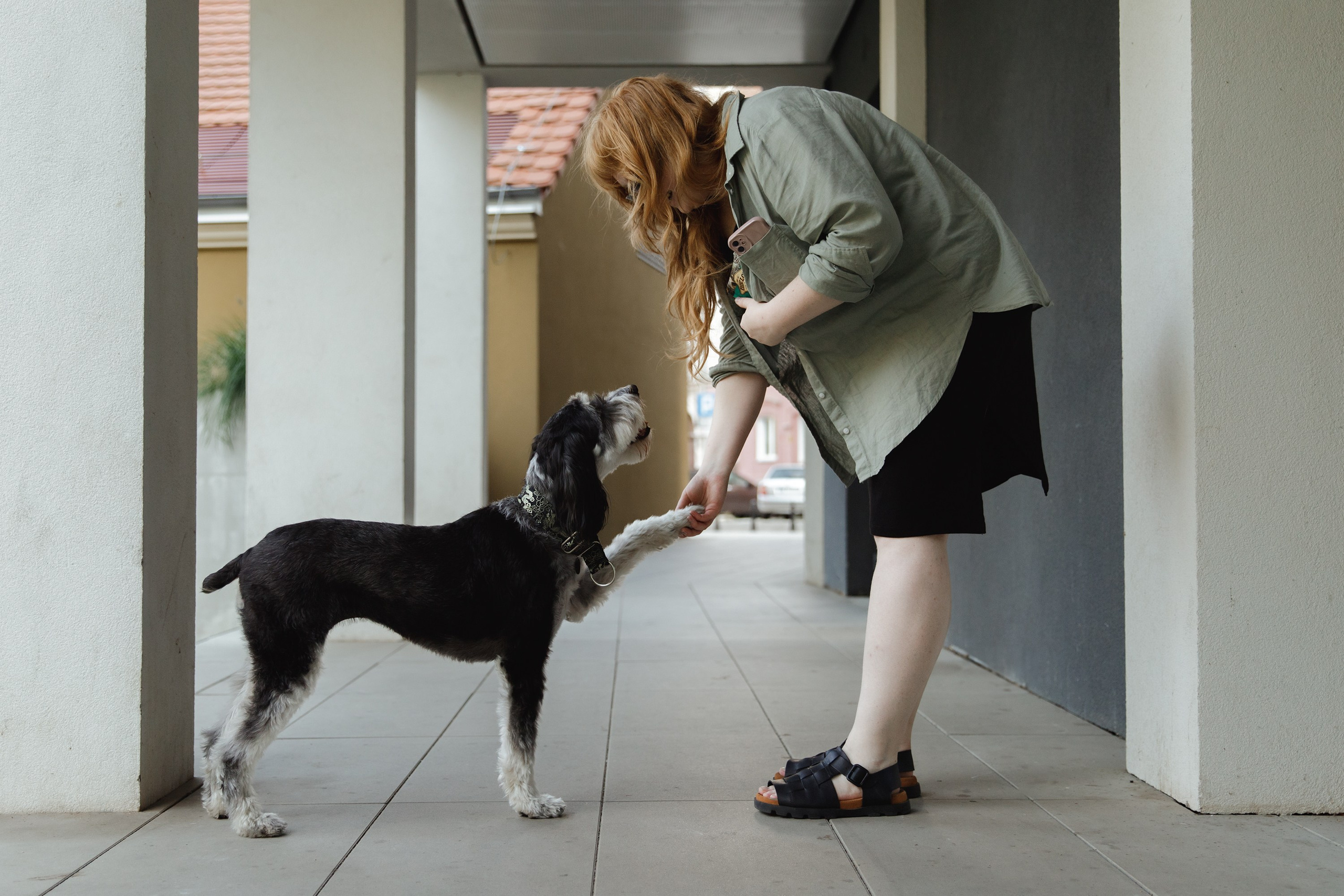 Lera & Flora. Kaja | fotograf we Wrocławiu | ludzie i psy