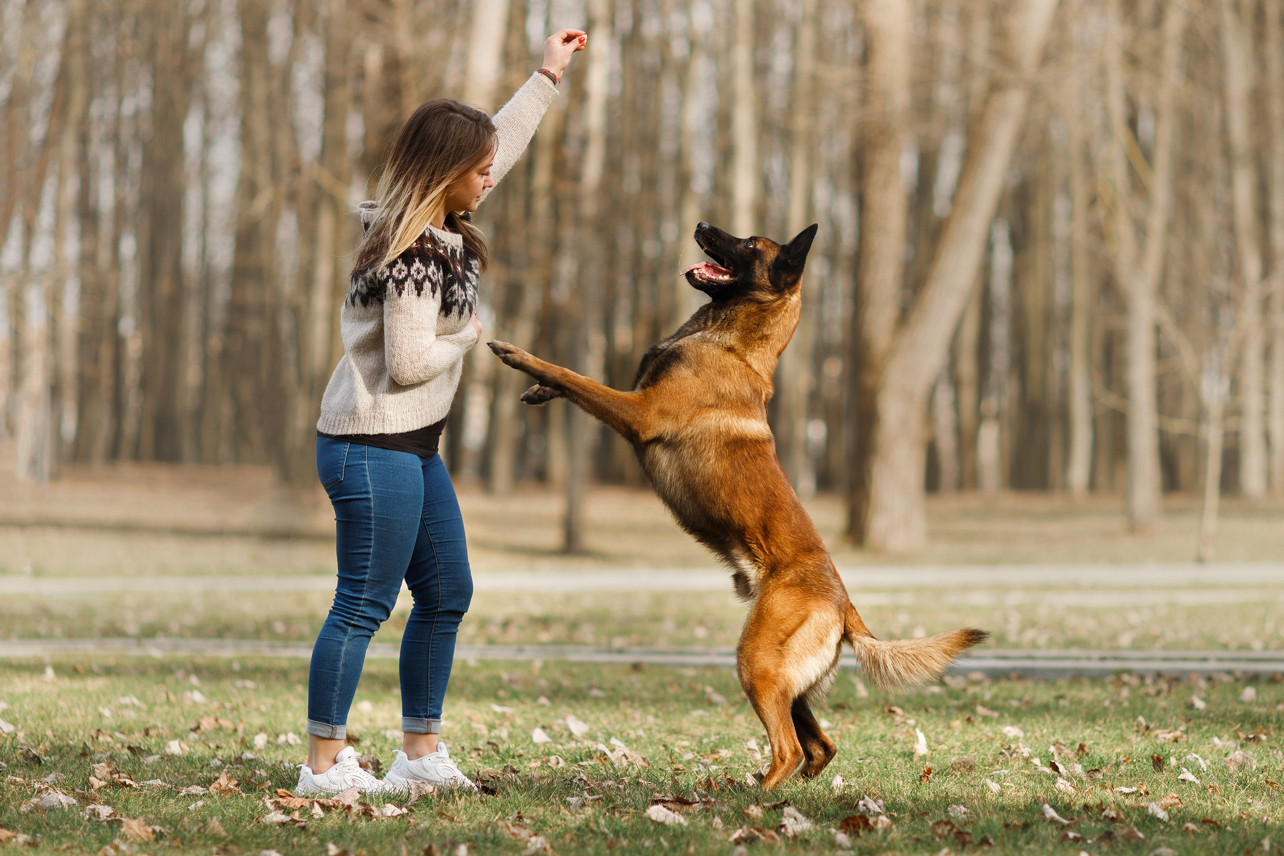 Autumn photo day for dog handler. Kaja | fotograf we Wrocławiu | ludzie i psy