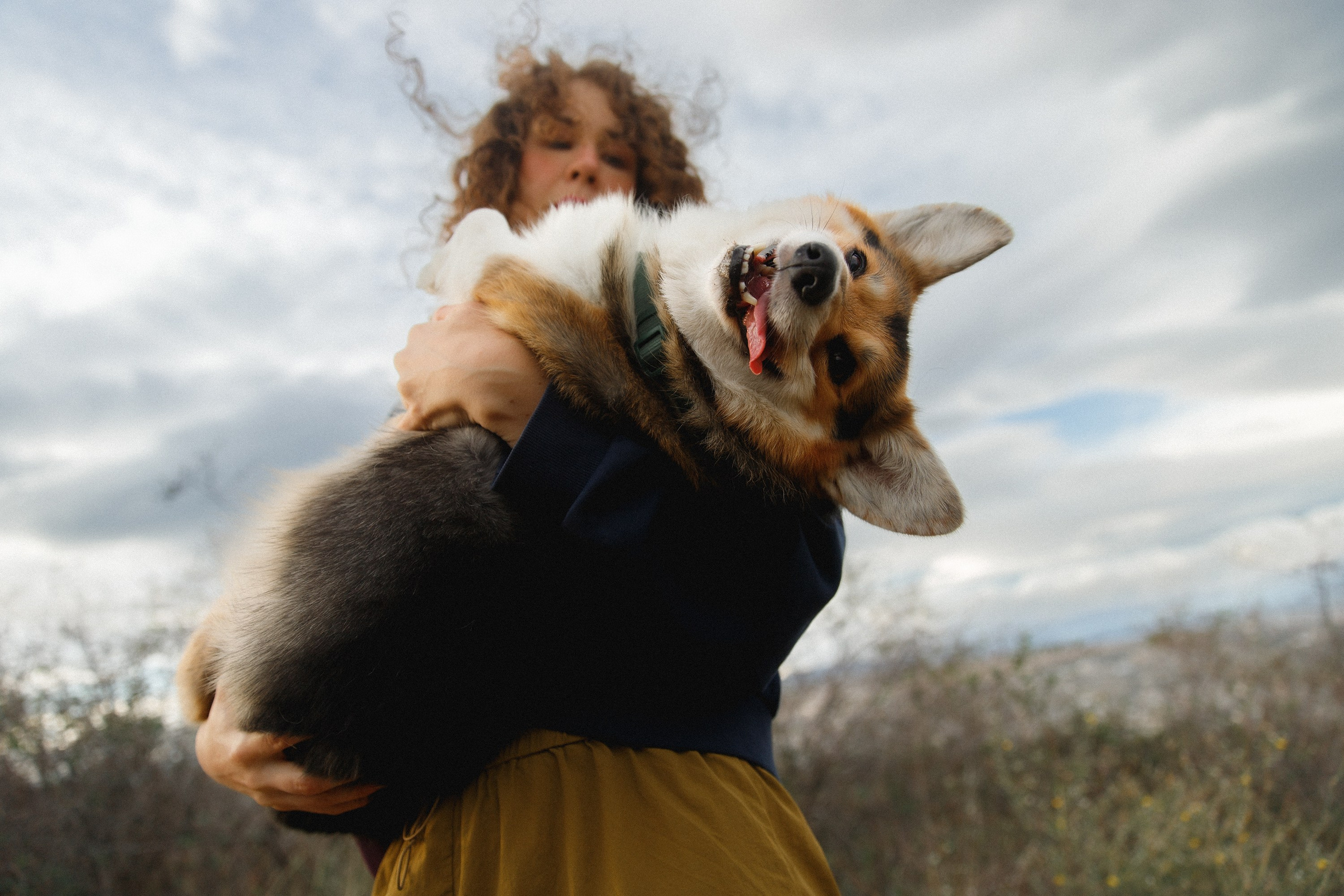 Sasha & Leonid. Kaja | fotograf psów we Wrocławiu