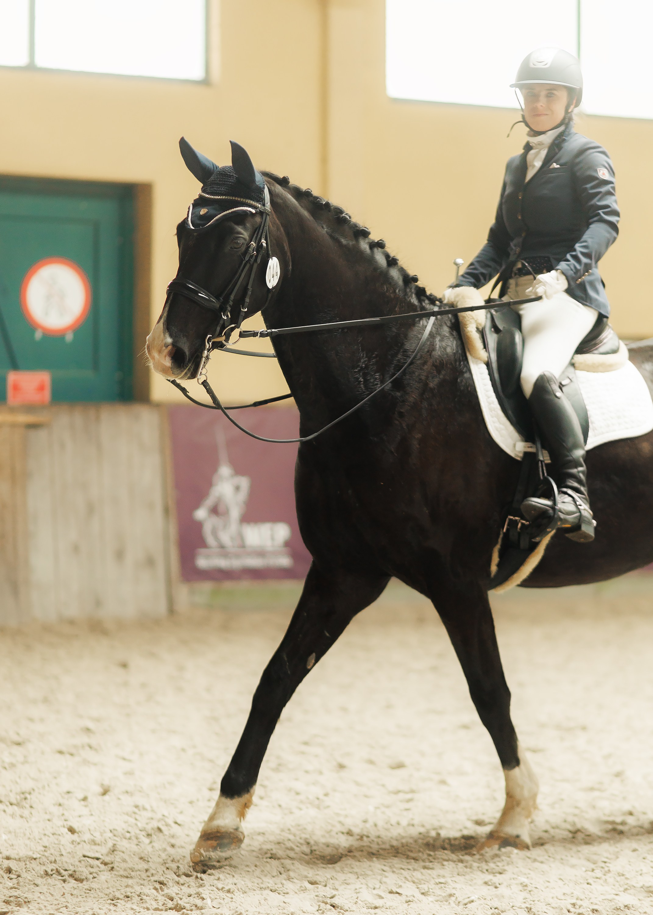 Partynice dressage \ feb'25. Kaja | fotograf we Wrocławiu | ludzie i psy