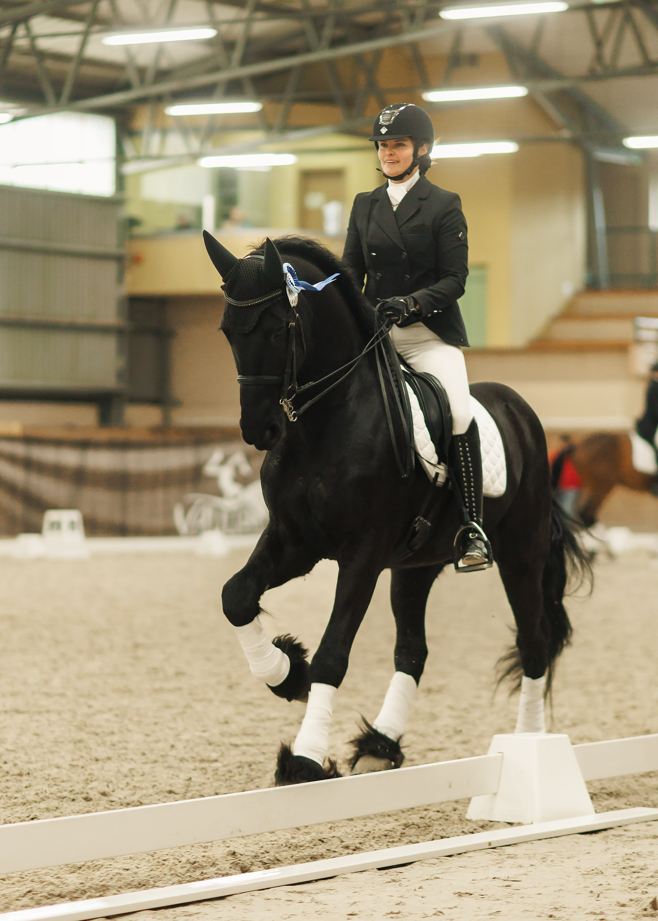 Fotografia koni Wrocław \ ujeżdżenie, Partynice. Kaja | fotograf we Wrocławiu | ludzie i psy